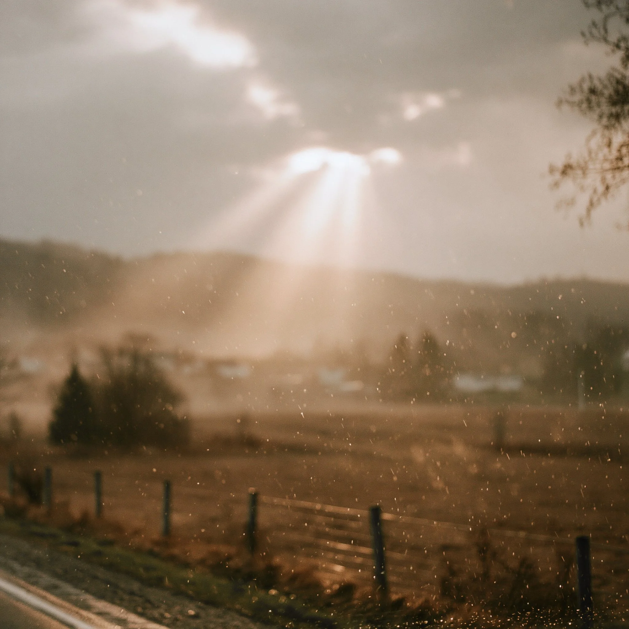 Un rayon de soleil, m&ecirc;me sous la pluie&hellip; &ccedil;a suffit pour se rappeler que tout finit par passer. 🌧️☀️