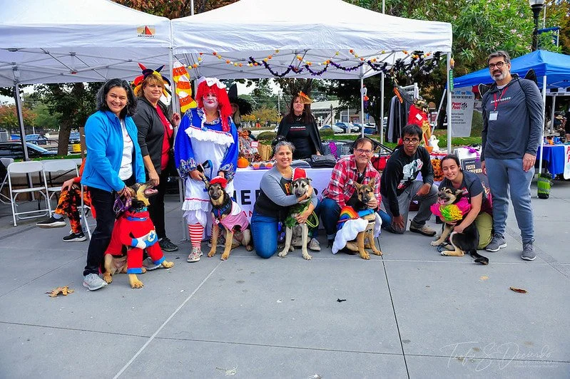 Sunnyvale Pet Parade