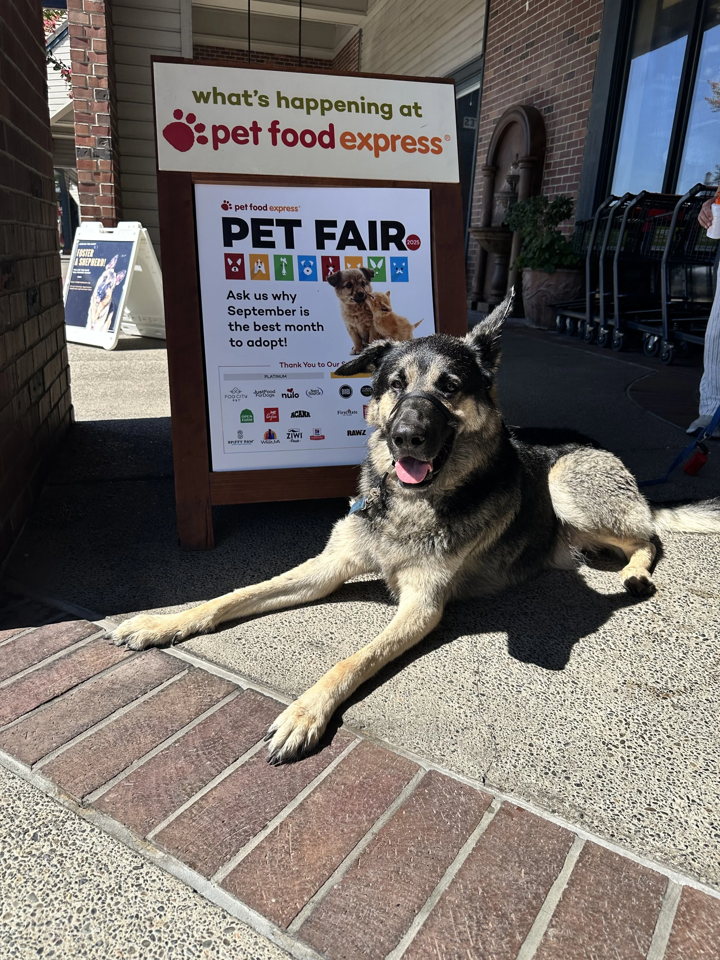 Pet Food Express Pet Fair