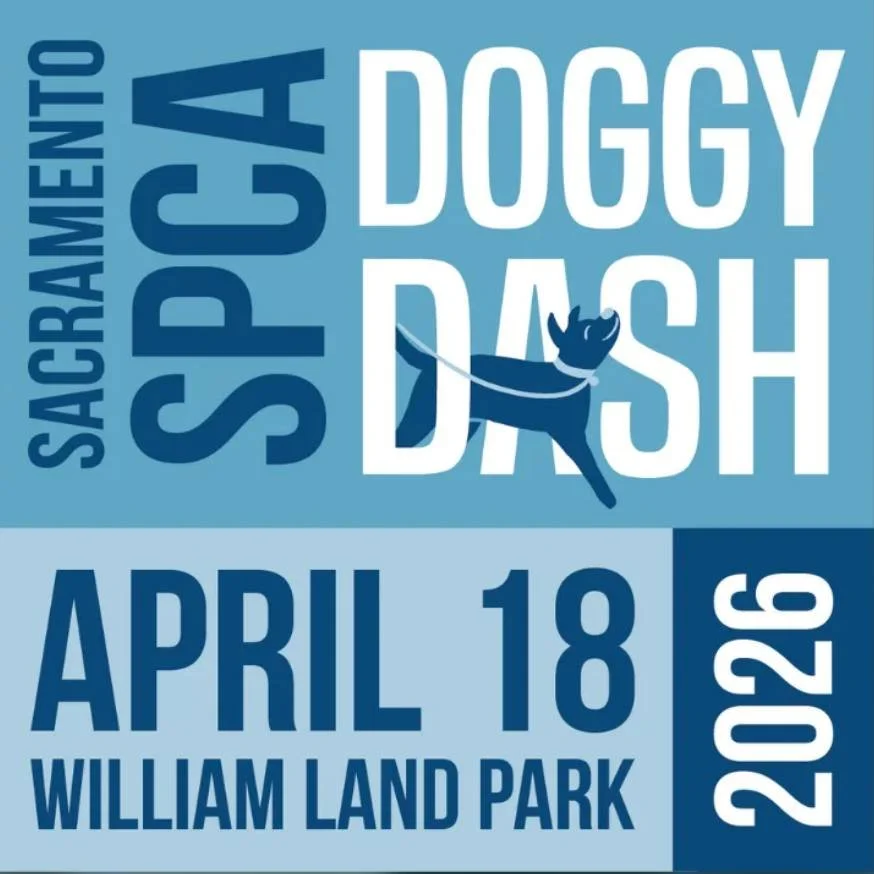 Sacramento Doggy Dash - Village Green at William Land Park