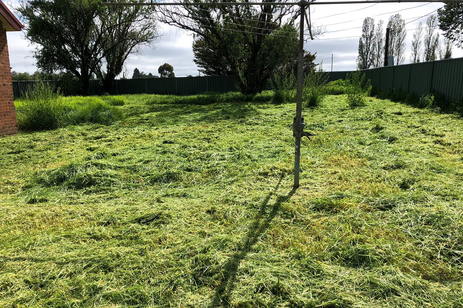 Cooee! There's a Hills Hoist in there...