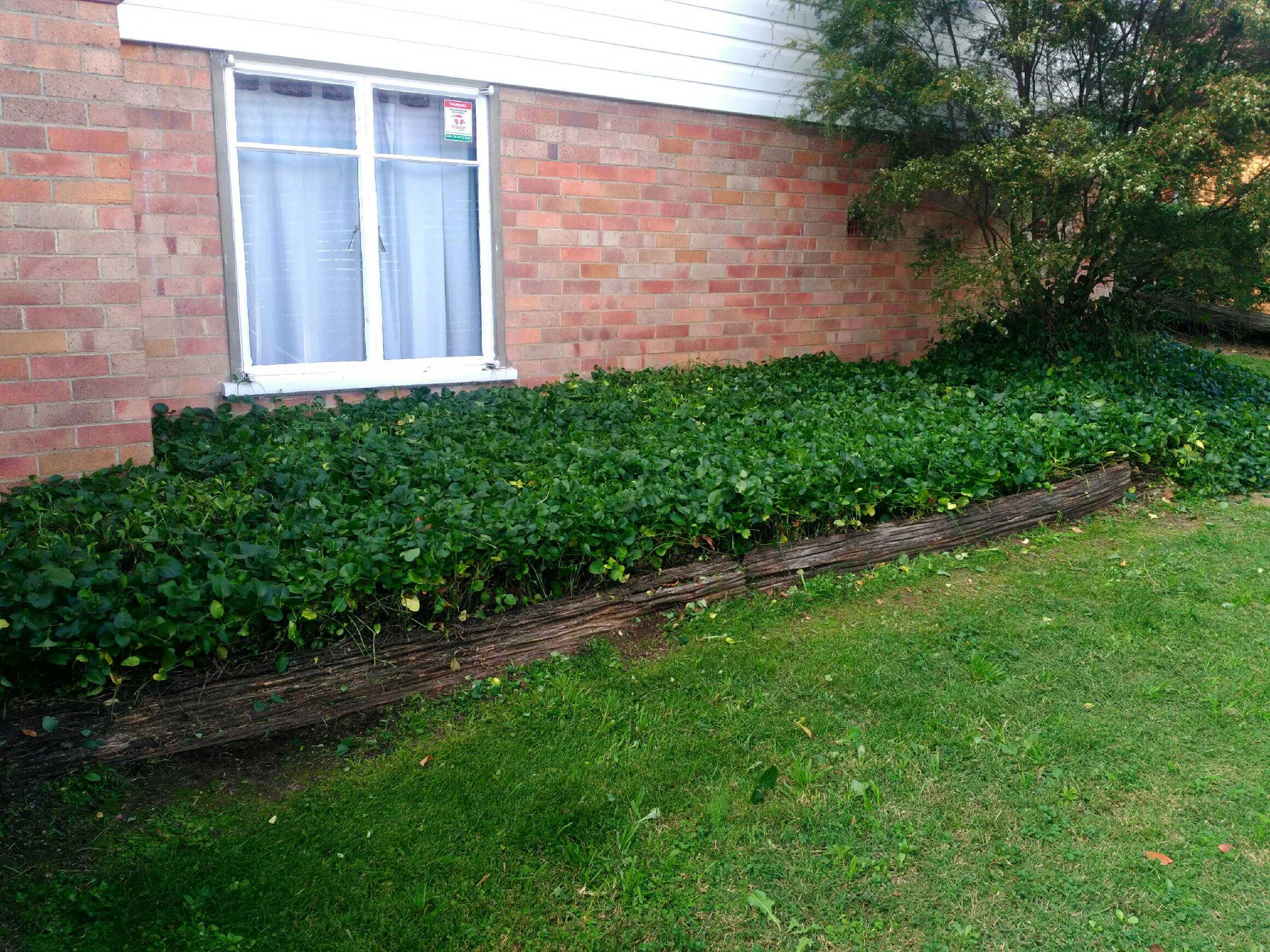 Garden clean up