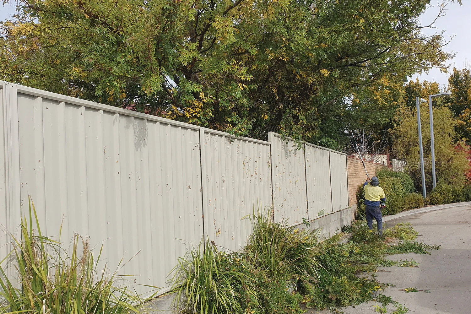 Commercial business gardens