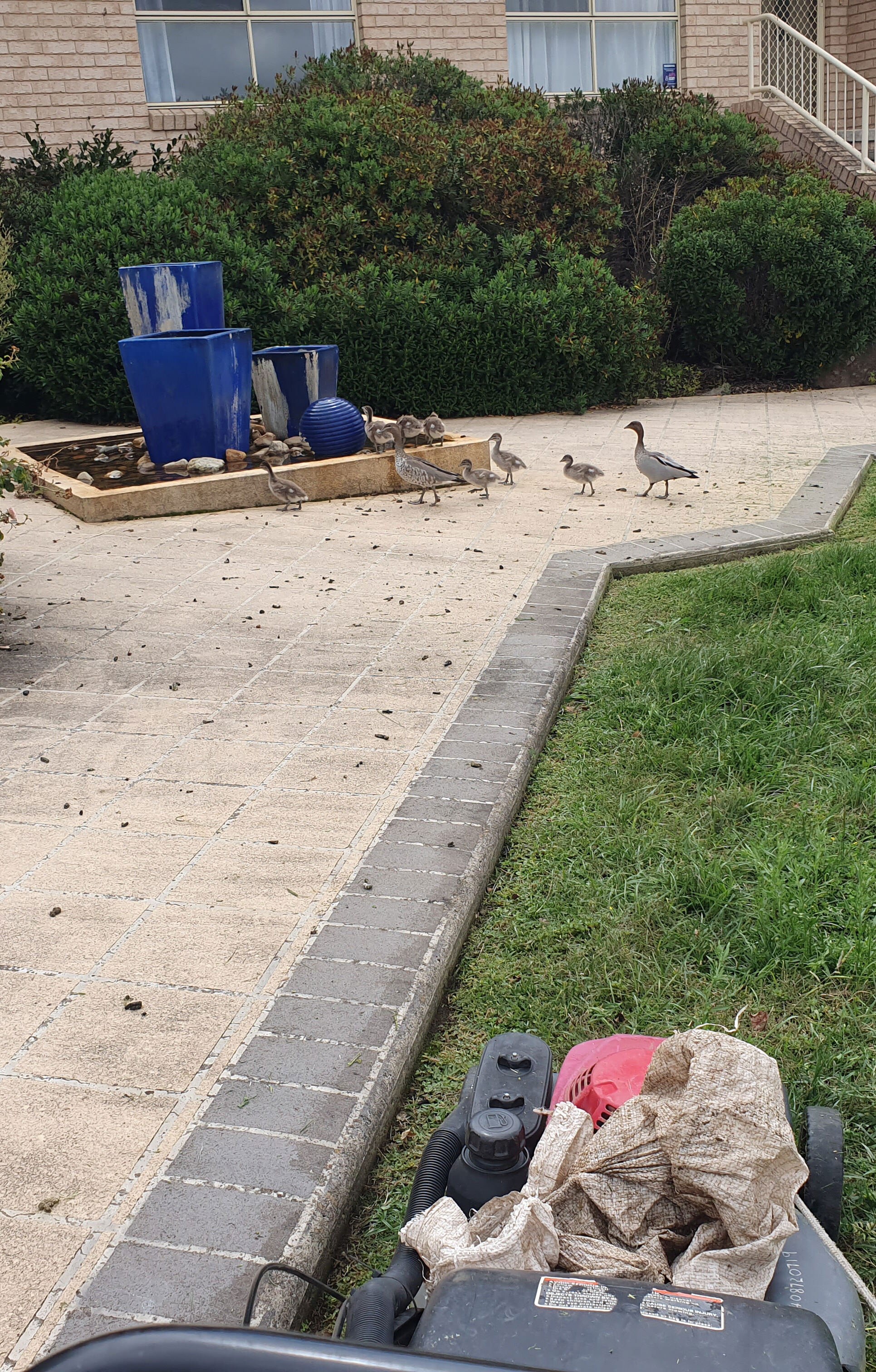 Visitors on the job