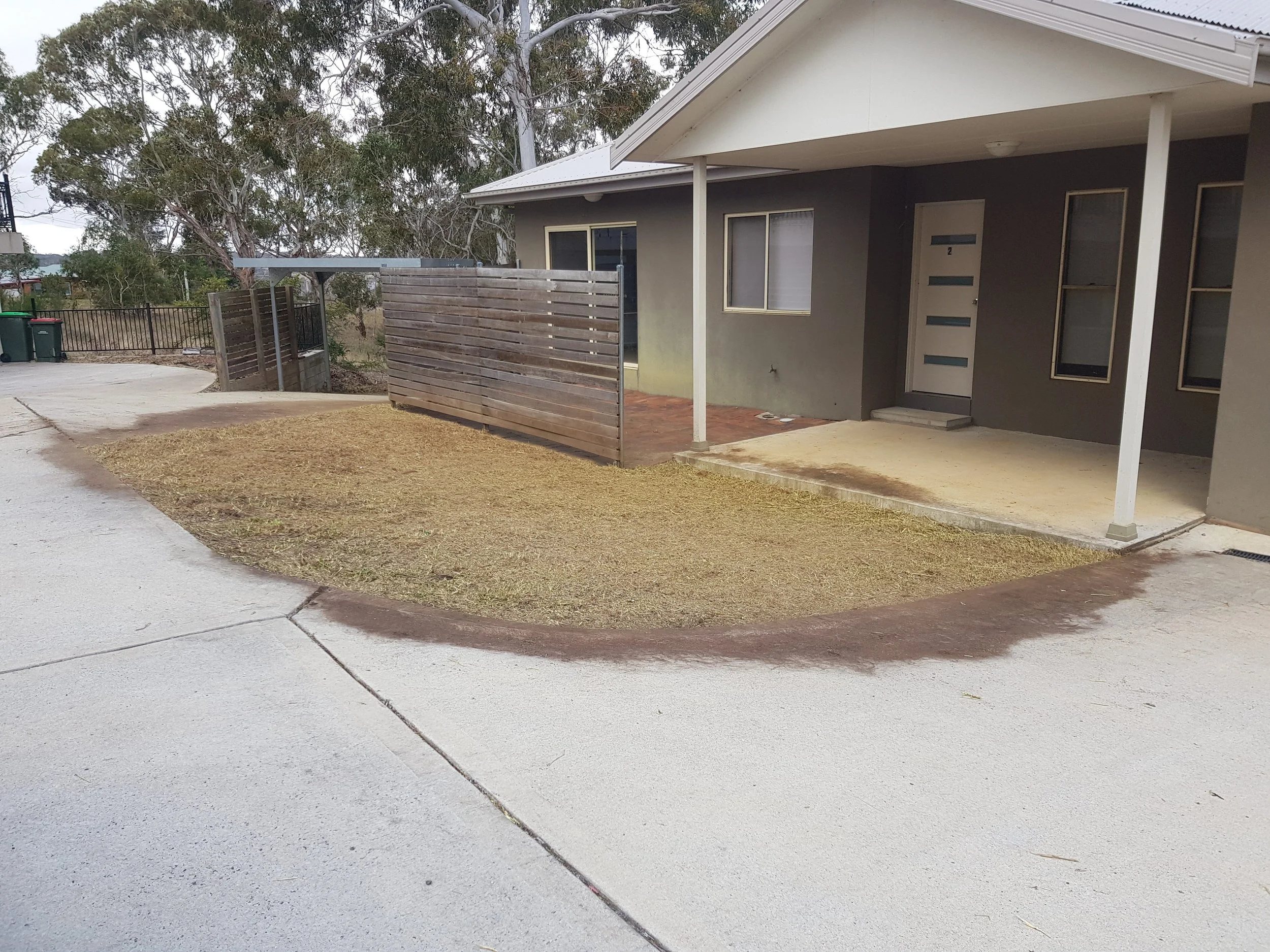 Backyard clean up