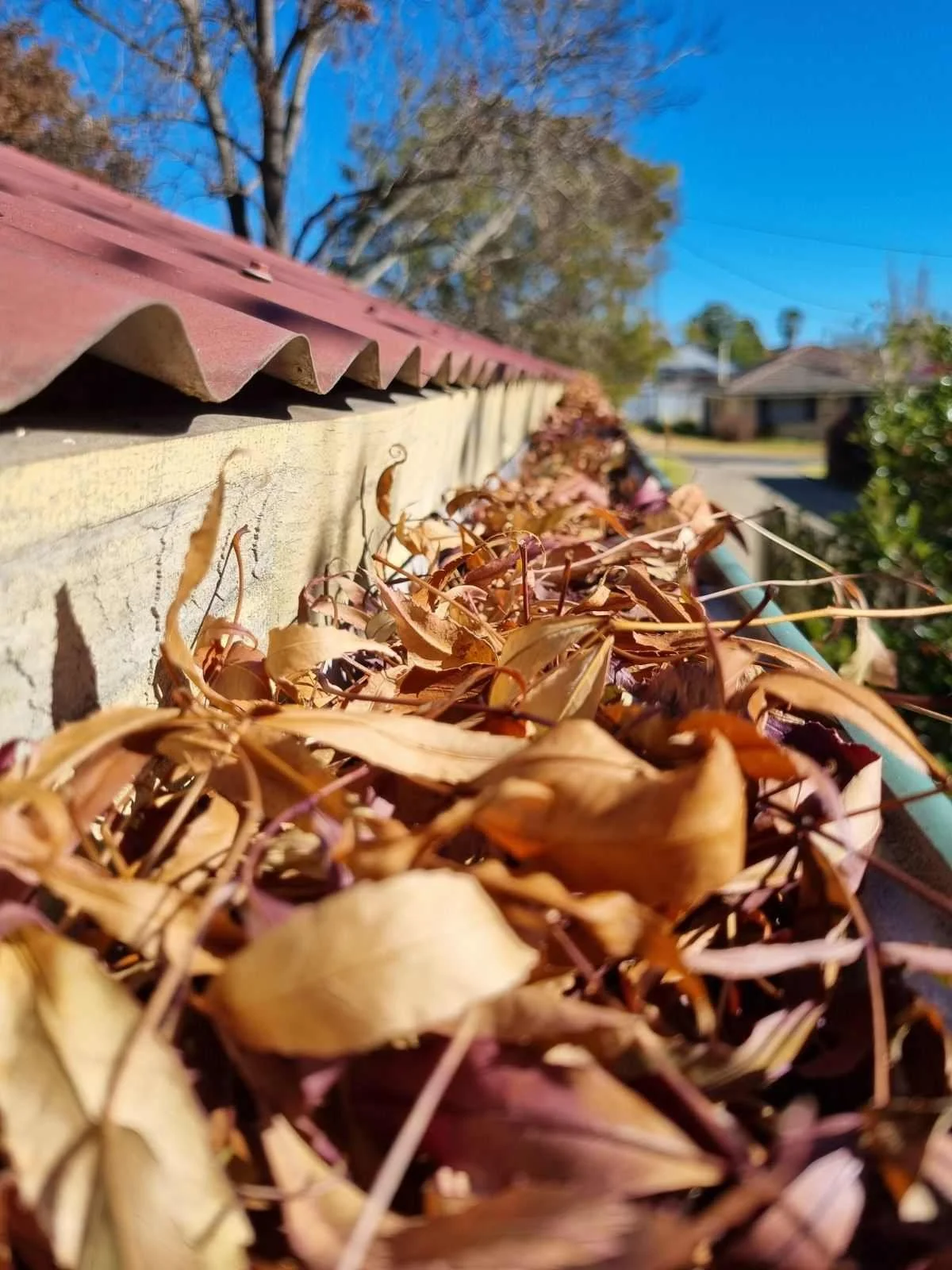 Gutter cleaning and install