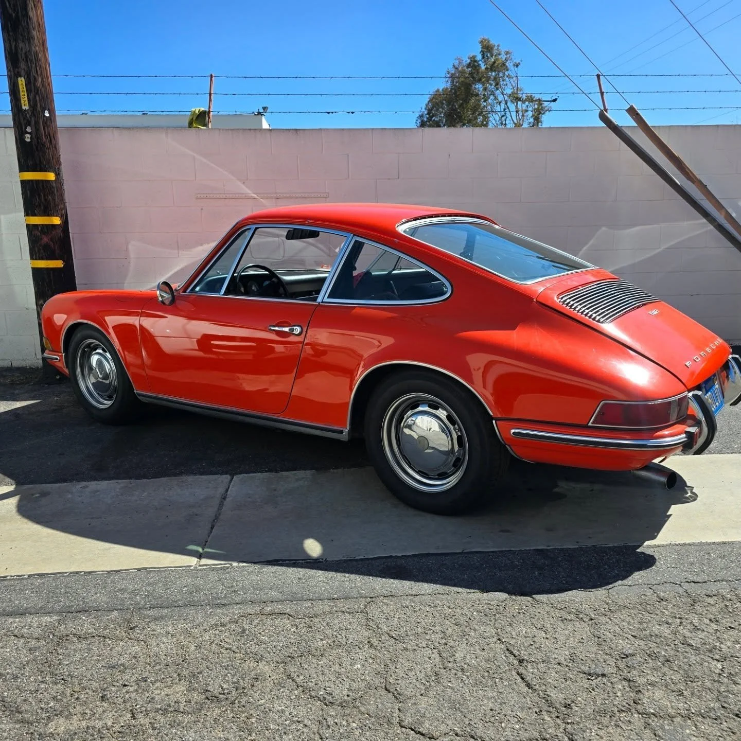 All freshened up for my boy
@california.912