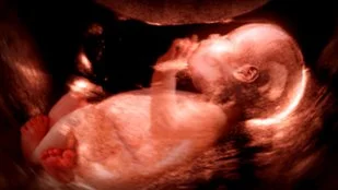 Twice_Born_Image_09.jpg__310x174_q85_subsampling-2_upscale.jpg