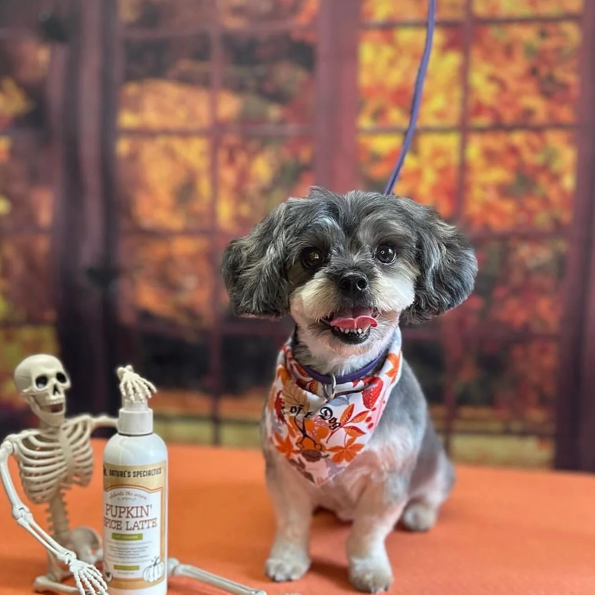 A few of our spooky friends 👻👻