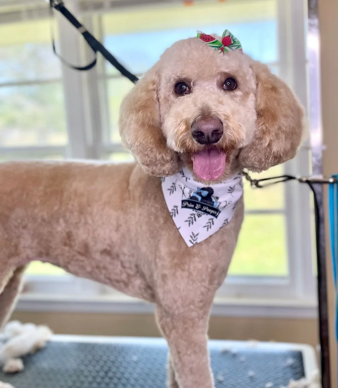 custom dog bandana in floral design