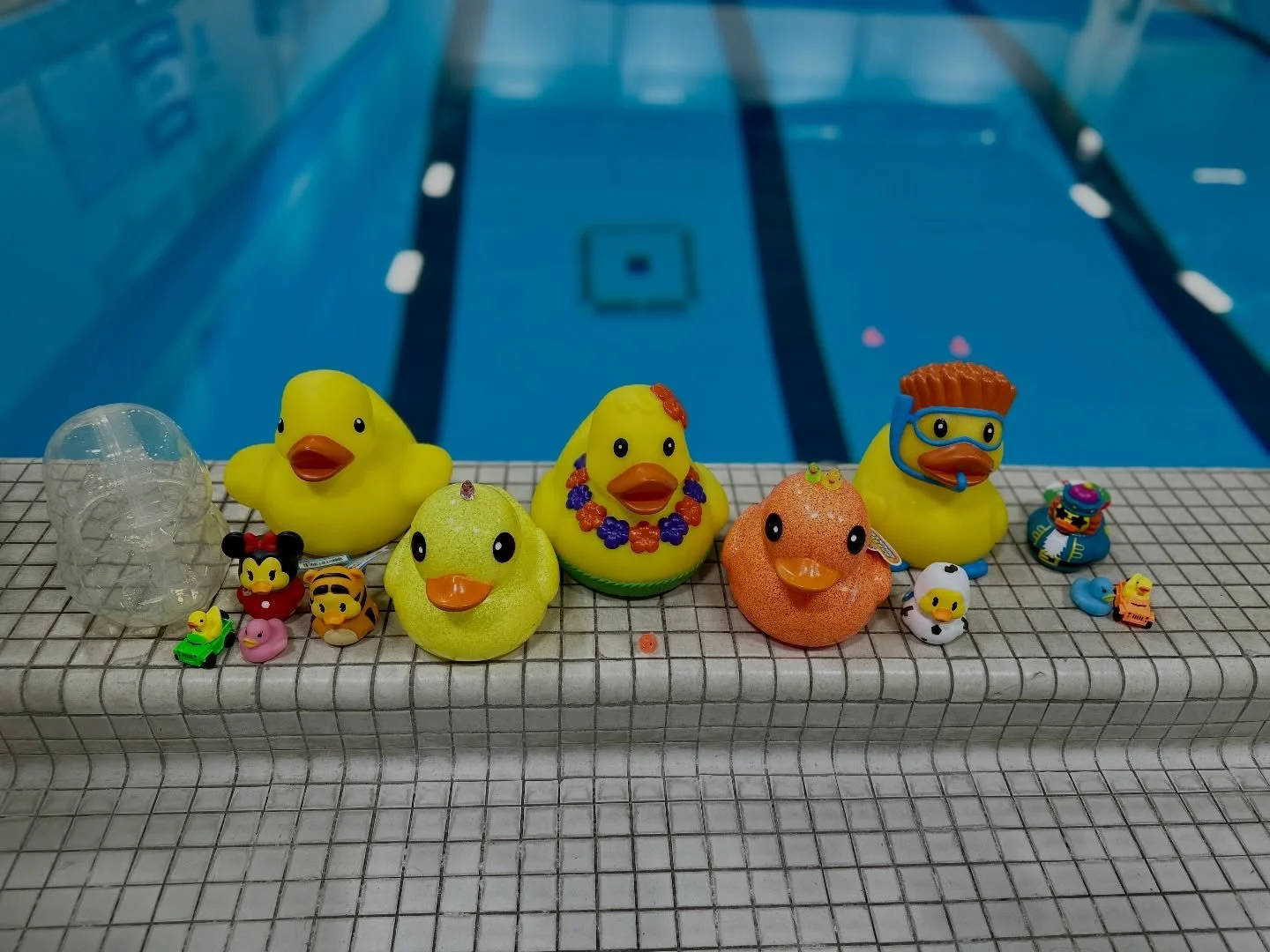 Happy National Rubber Duckie Day!
Which duck are you?