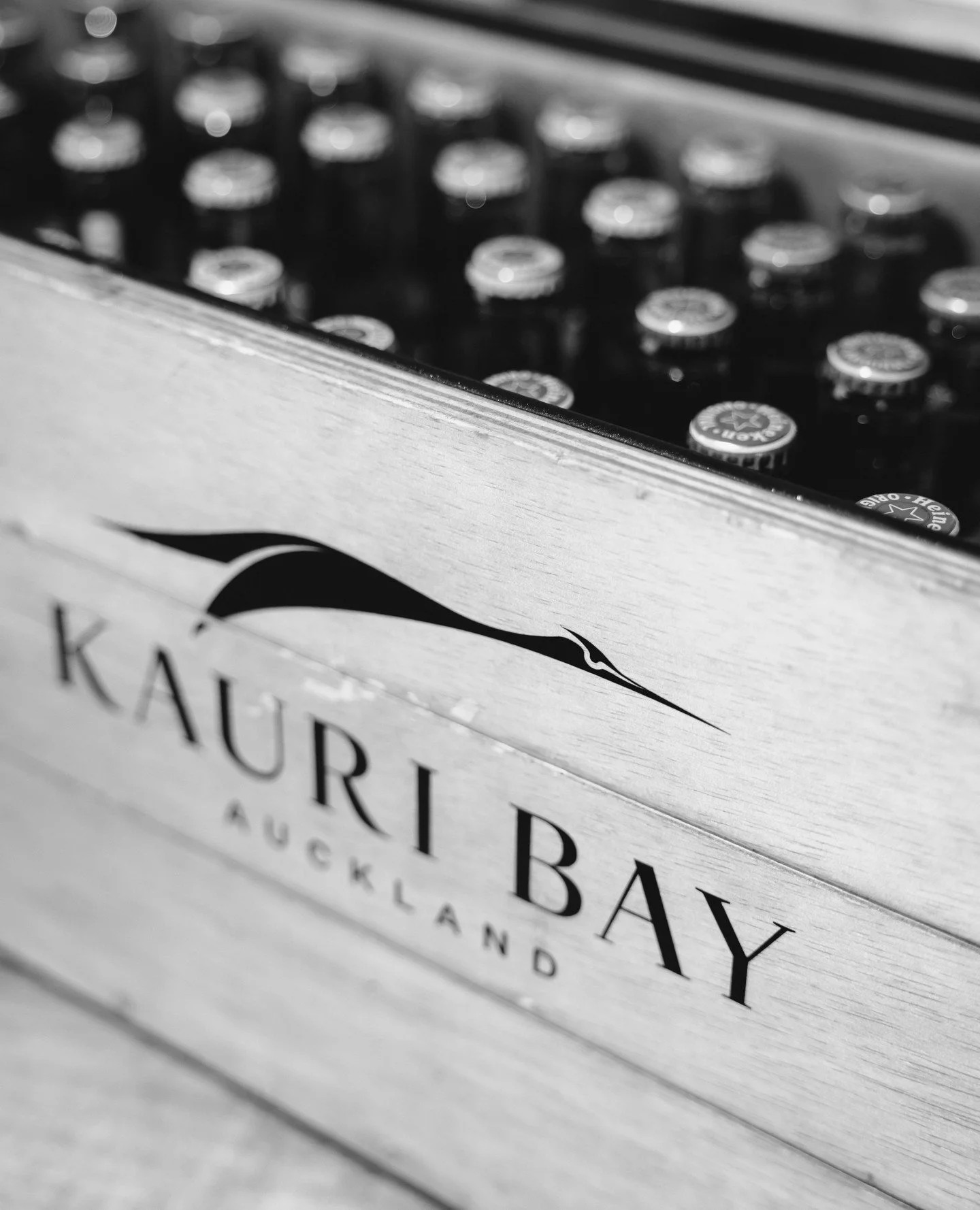 Kauri Bay celebrating 10 years!!!⁠
⁠
@kauribayauckland⁠
⁠
⁠
⁠
⁠
#eventphotographer #eventphotography #photographer #photography  #canon #event #portrait #events #photoshoot #photooftheday  #weddingphotography #fashion #portraitphotographer #portraitp