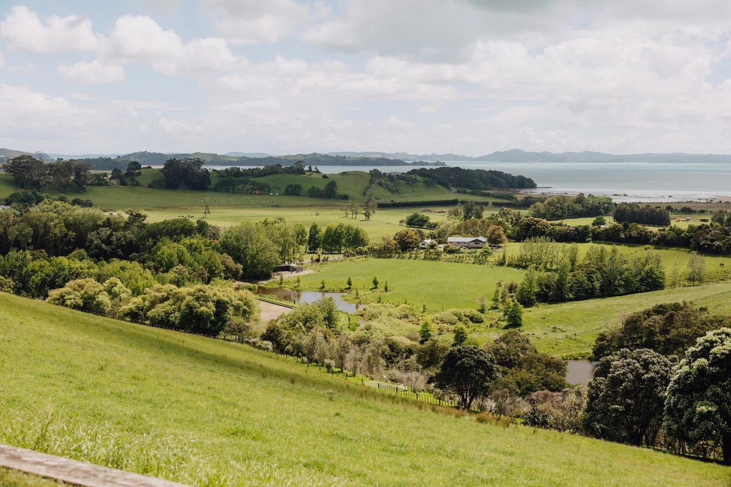 Taken at NZME Lunch at Kauri Bay 📸⁠
⁠
⁠@kauribayauckland⁠
@nzme_nz⁠
⁠
⁠
⁠
⁠
⁠
#eventphotographer #eventphotography #photographer #photography  #canon #event #portrait #events #photoshoot #photooftheday  #weddingphotography #fashion #portraitphotogra
