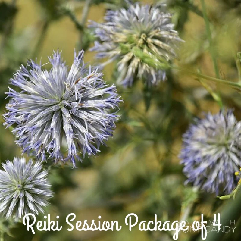 Reiki Session Package of 4 