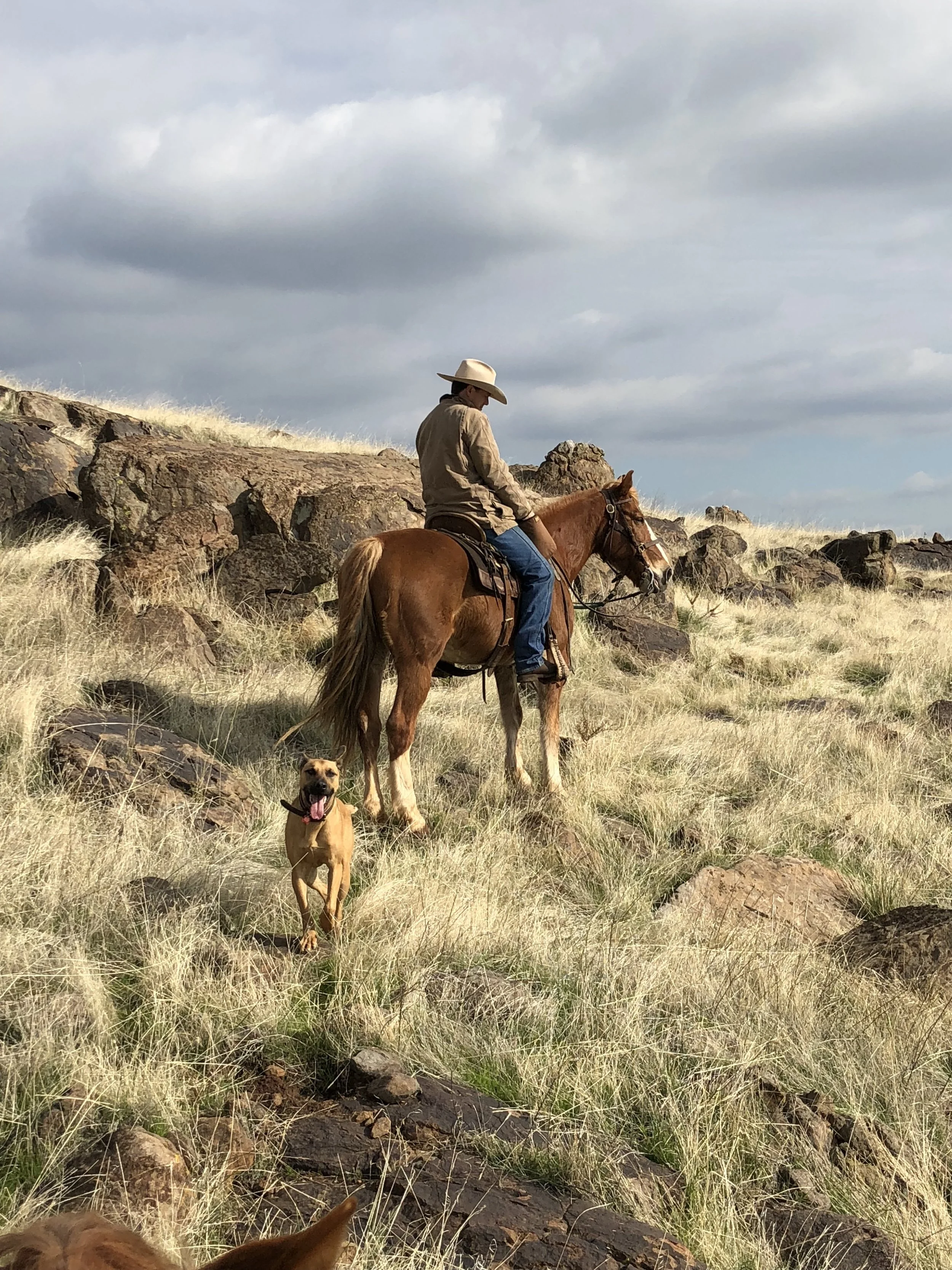 BR_horseback_08.jpeg