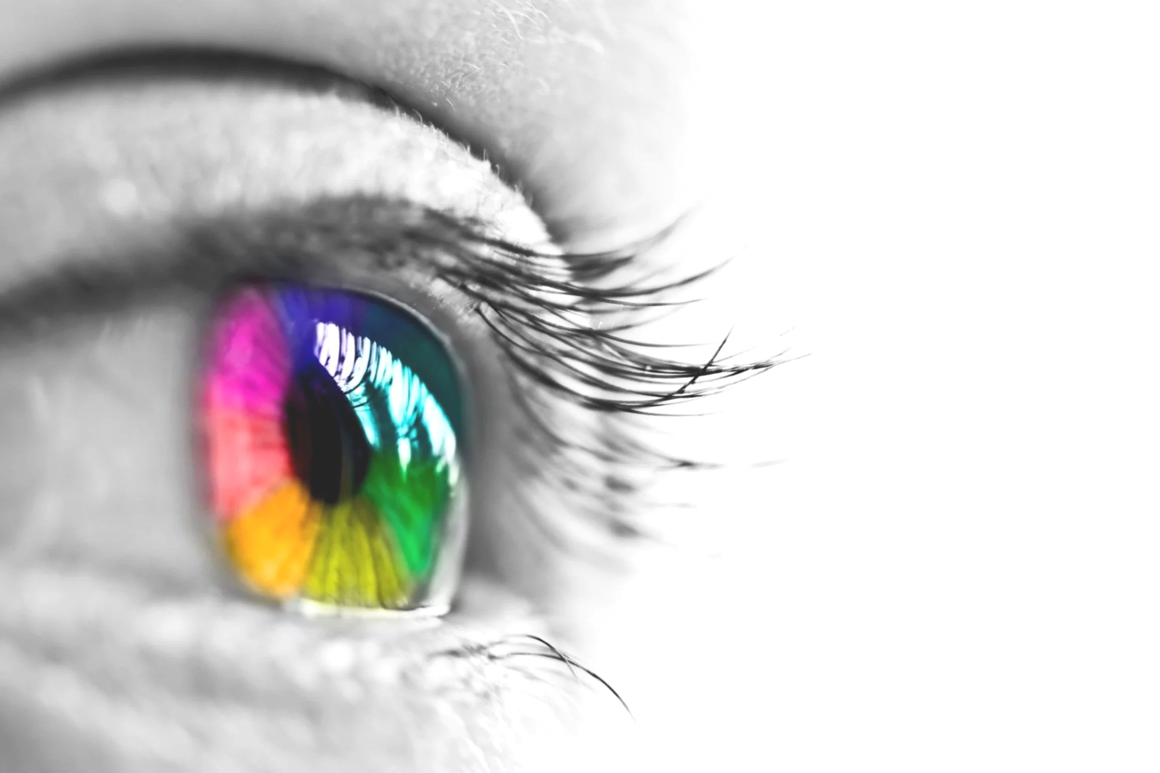 HPP-Coloured Eye.jpg