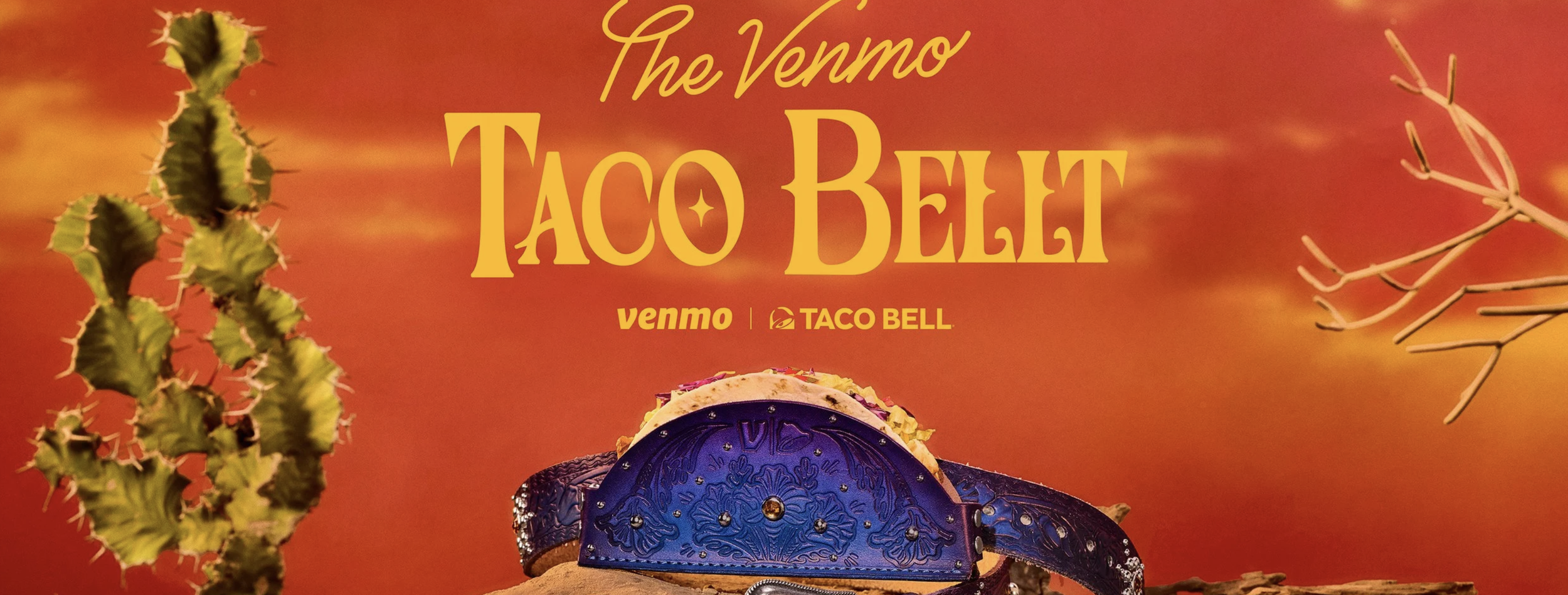 Screenshot 2026-02-20 at 11.21.45 AM.png