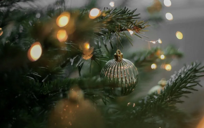 Christmas banner image .jpg