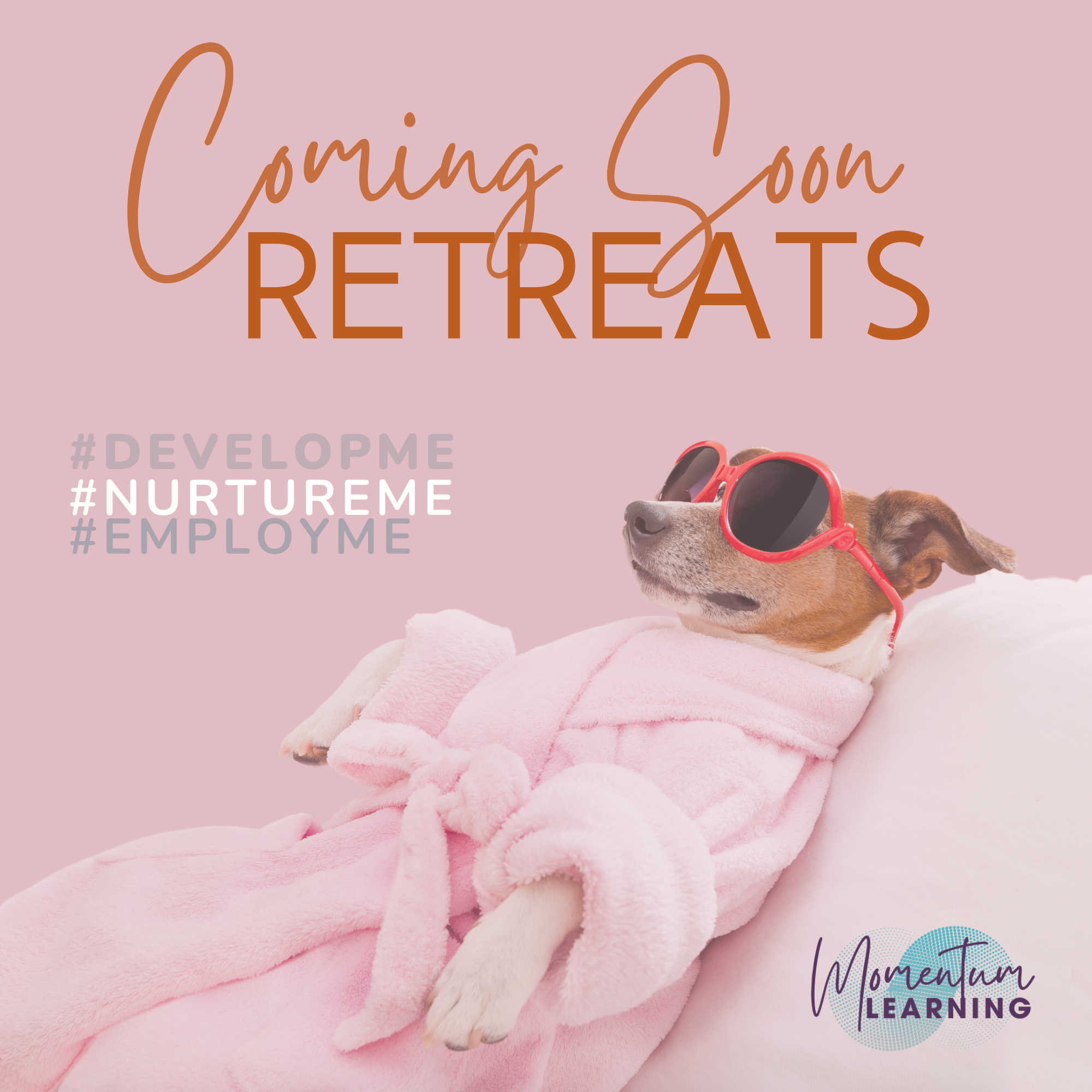 Coming Soon — Momentum Learning