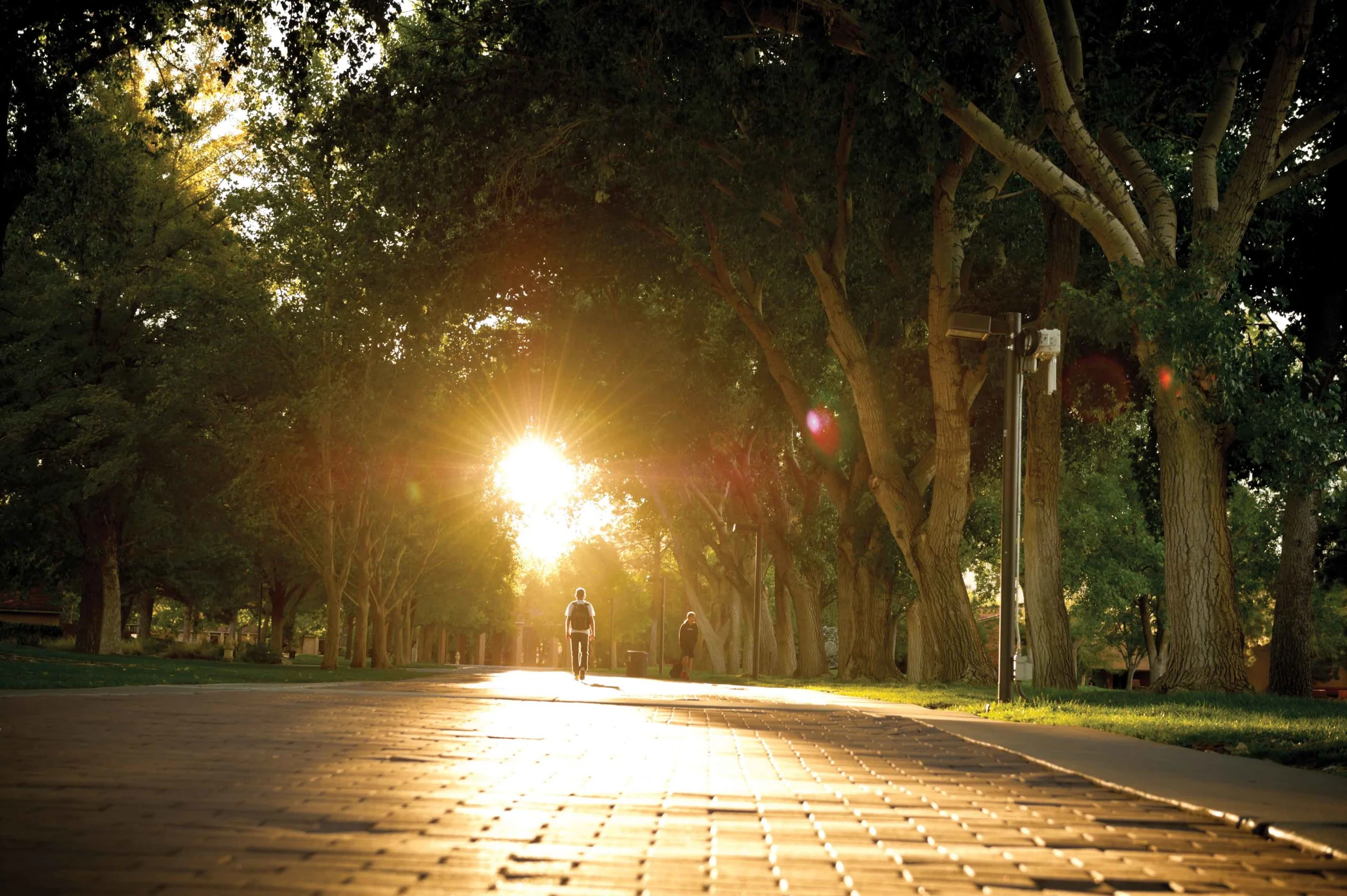 From Every Angle: An Art Director’s Tips for a Successful Photoshoot