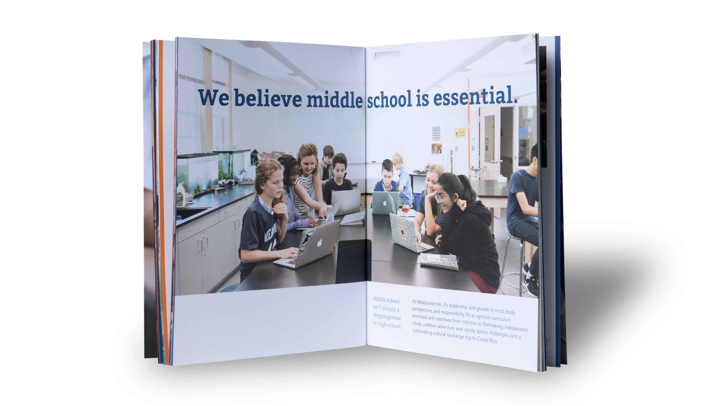Meadowbrook-School-Creosote-Affects-Viewbook-9.jpg