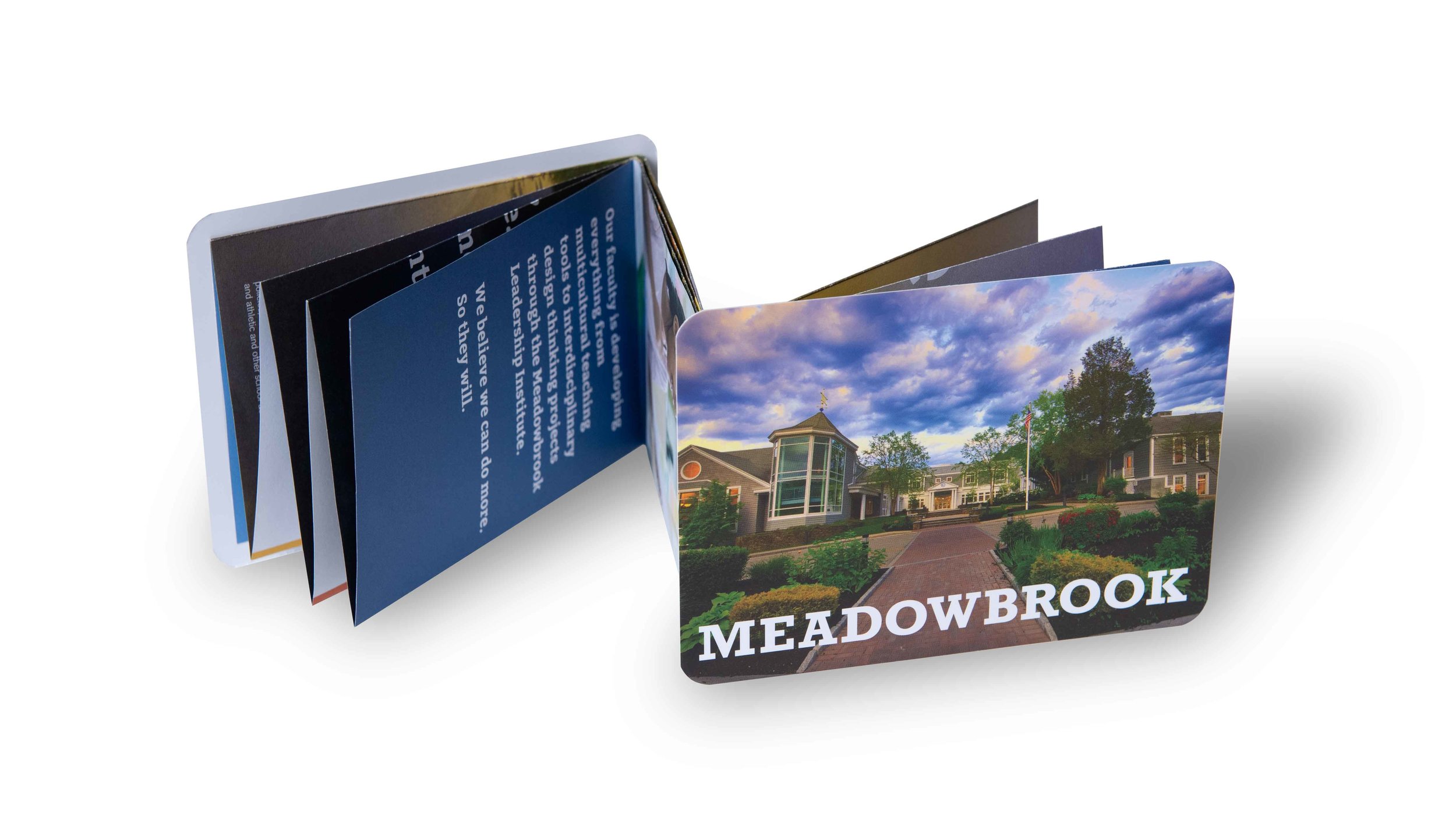 Meadowbrook-School-Creosote-Affects-Travel-Brochure.jpg
