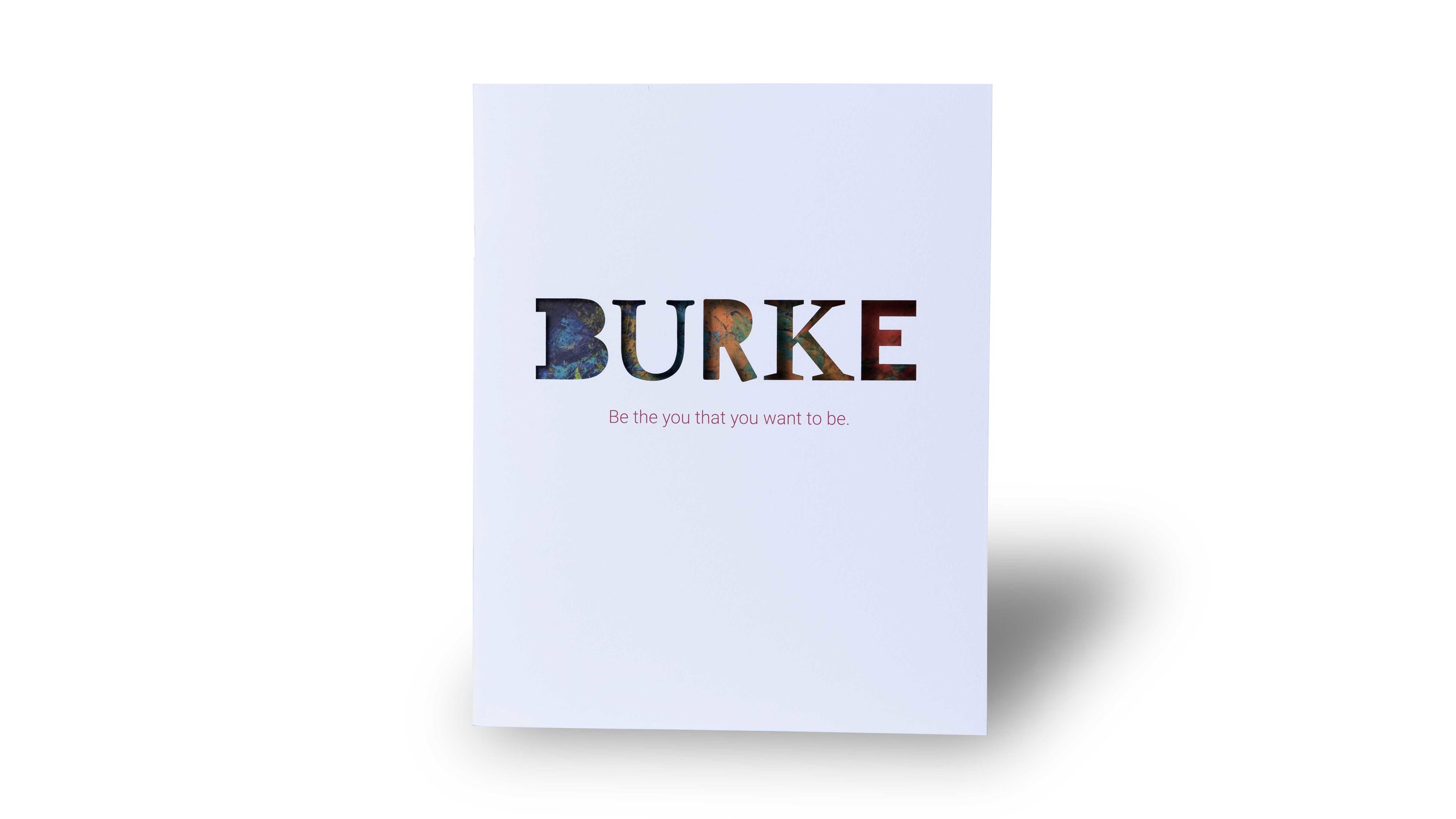 Edmund-Burke-School-Creosote-Affects-Viewbook.jpg