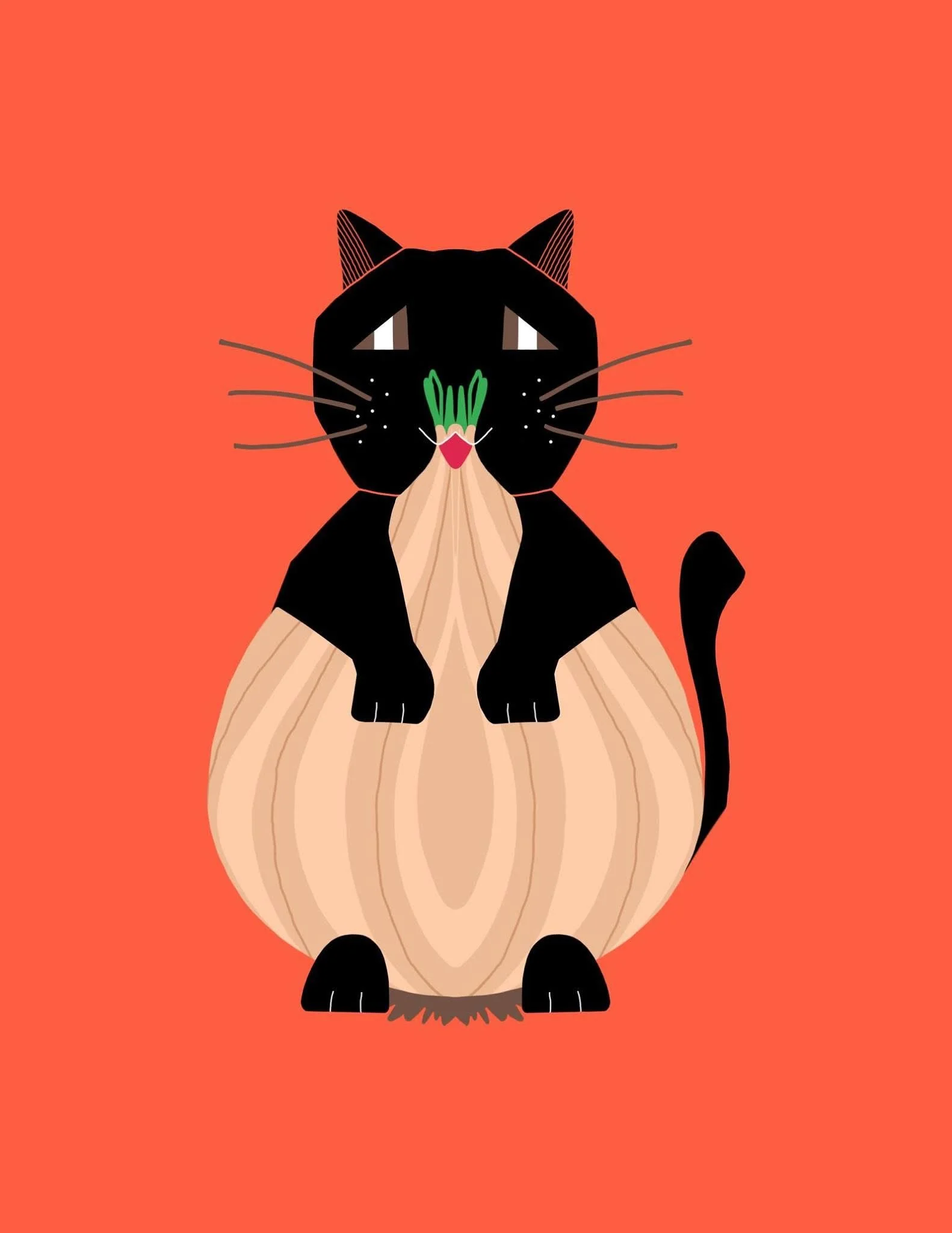 BlackKittyCatHopsOnIon_Cat.JPG
