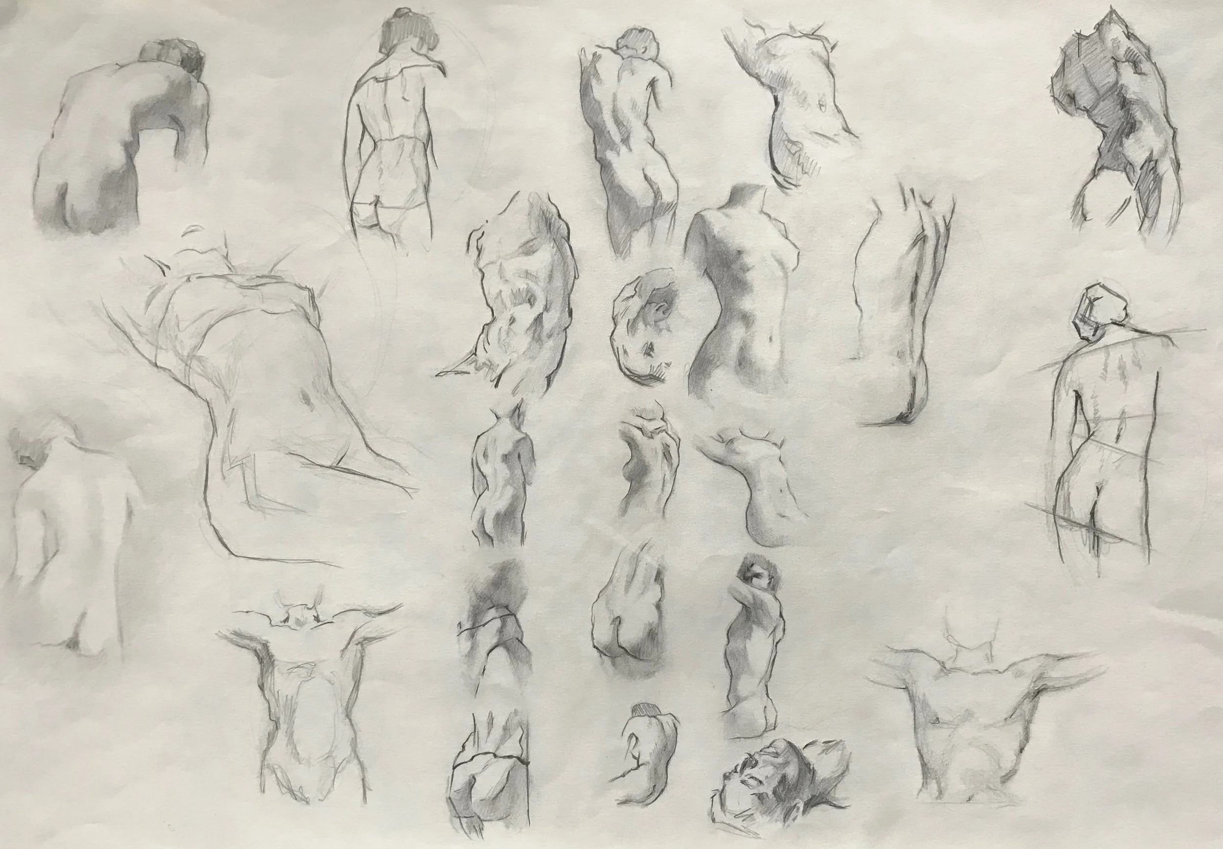 Anatomy3.jpg