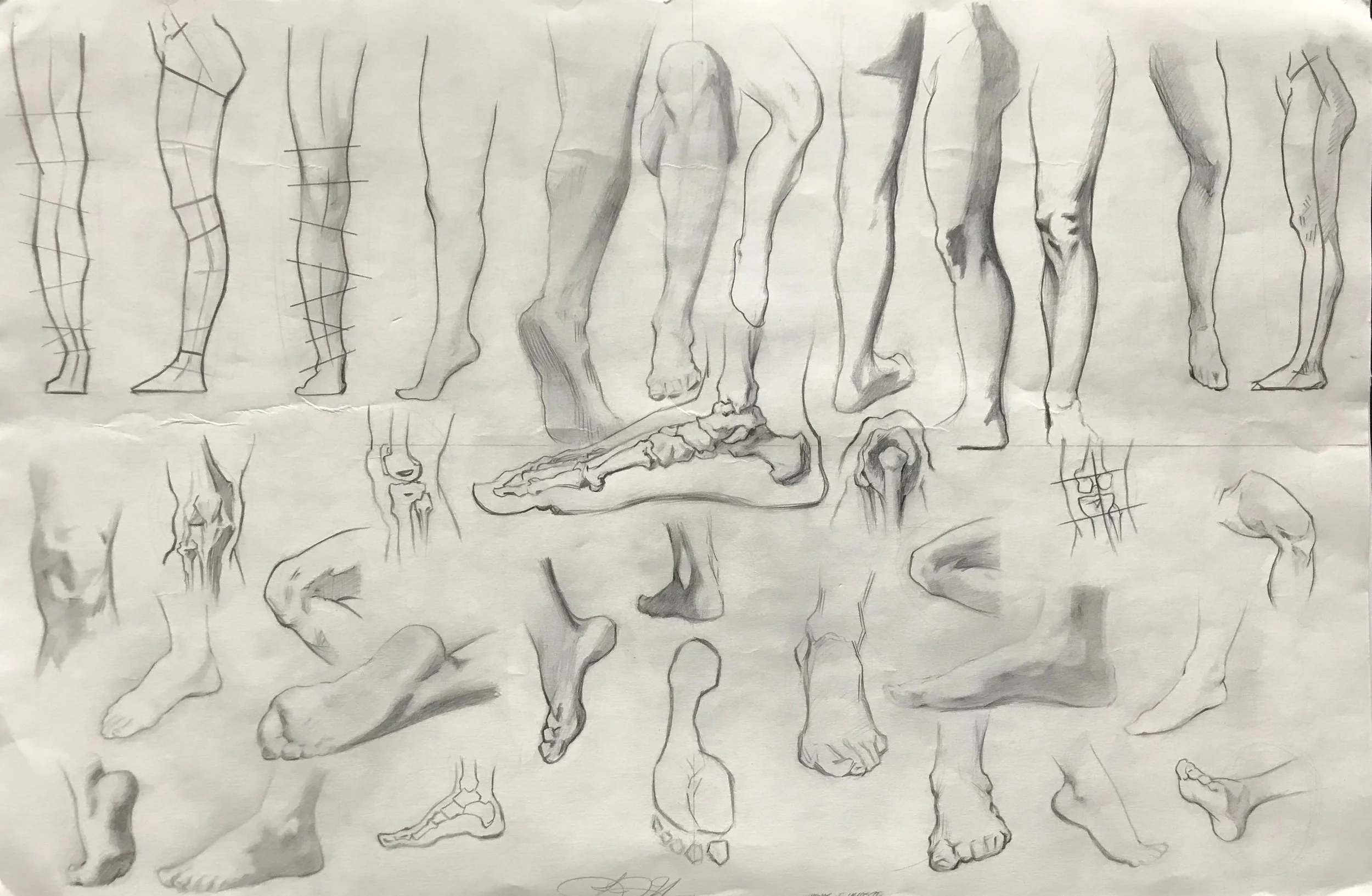 Anatomy6.jpg