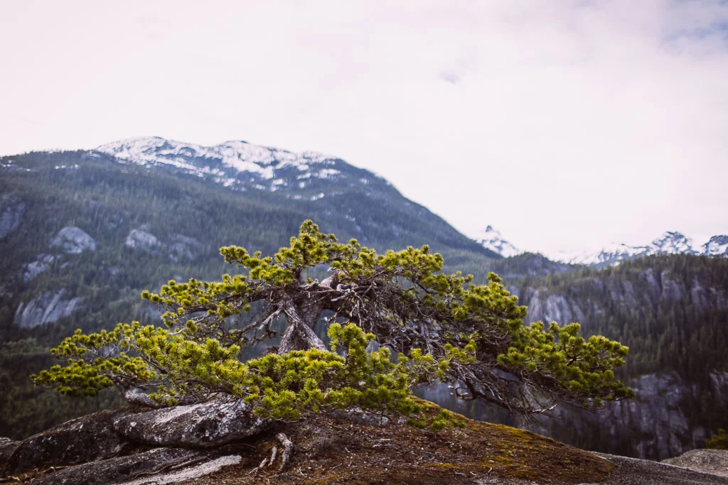 The-Squamish-Chief-lorraineyeung-6.jpg