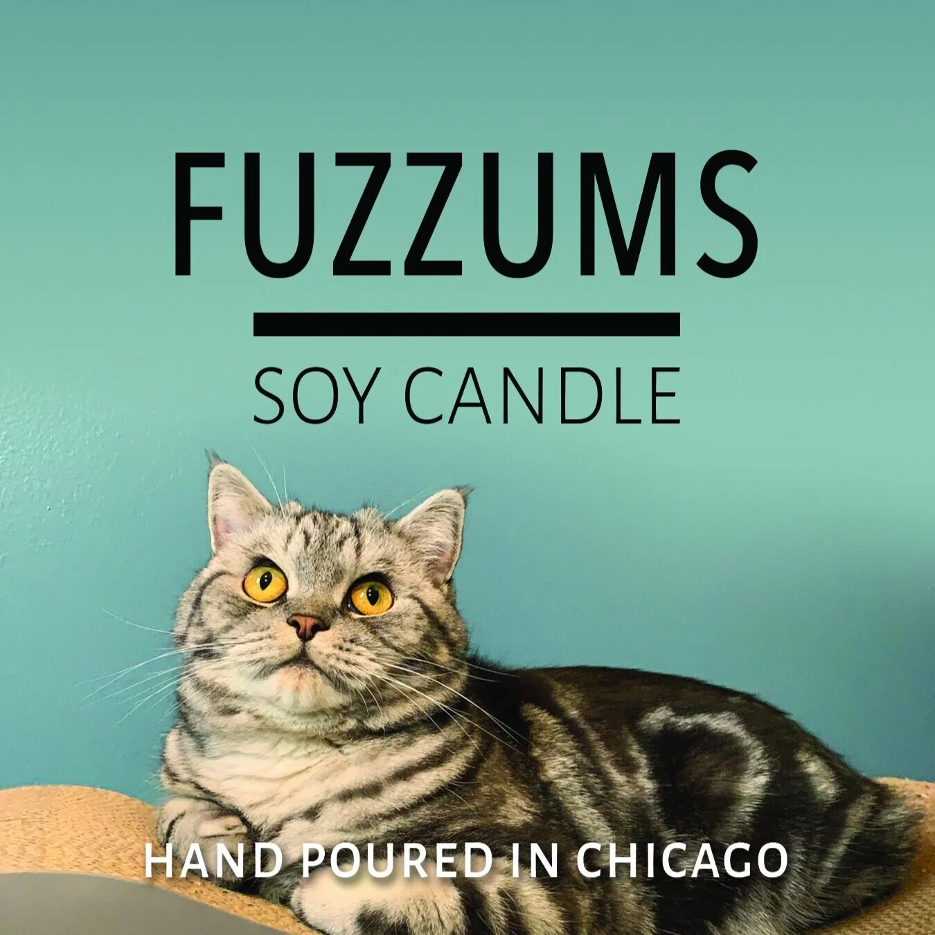 Fuzzums