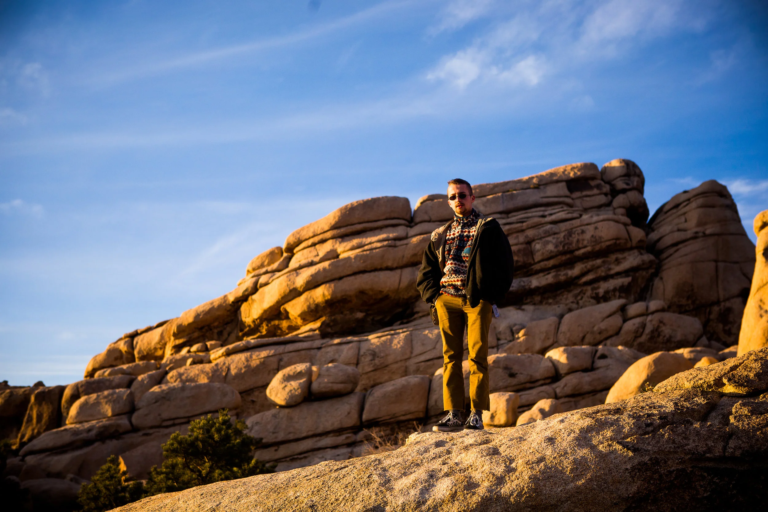 Joshua Tree, 2018.