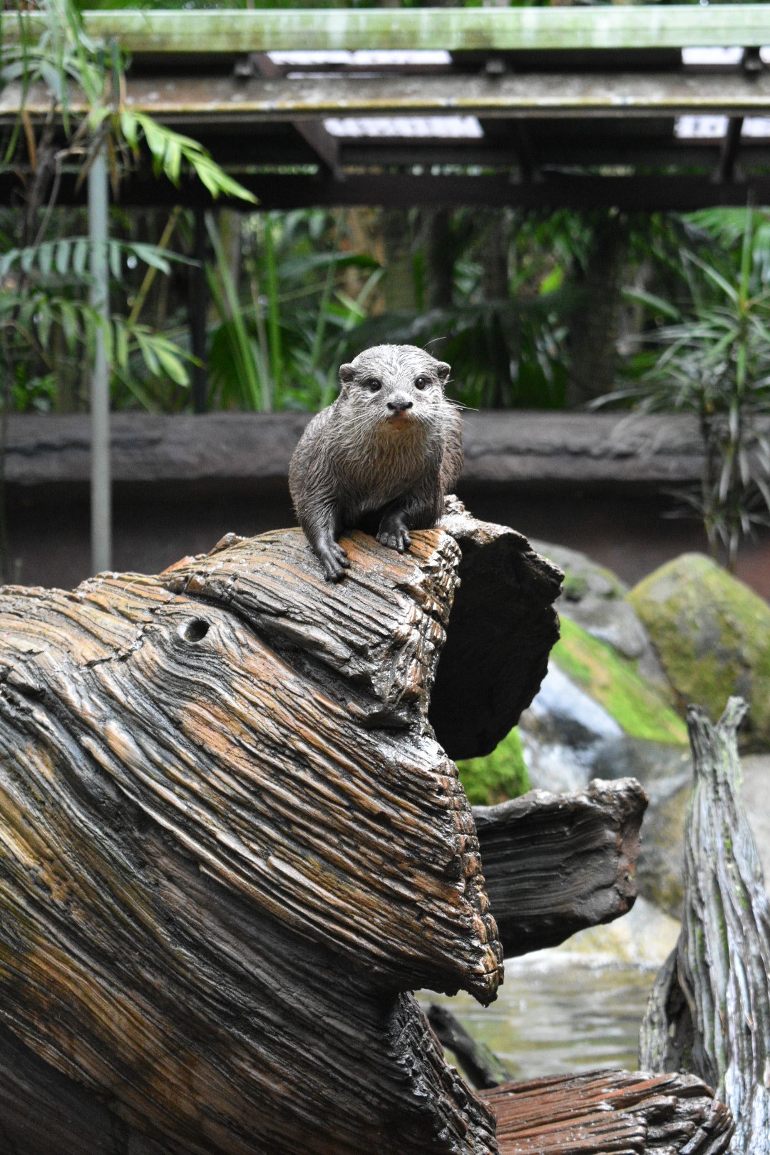 DSC_1431.JPG