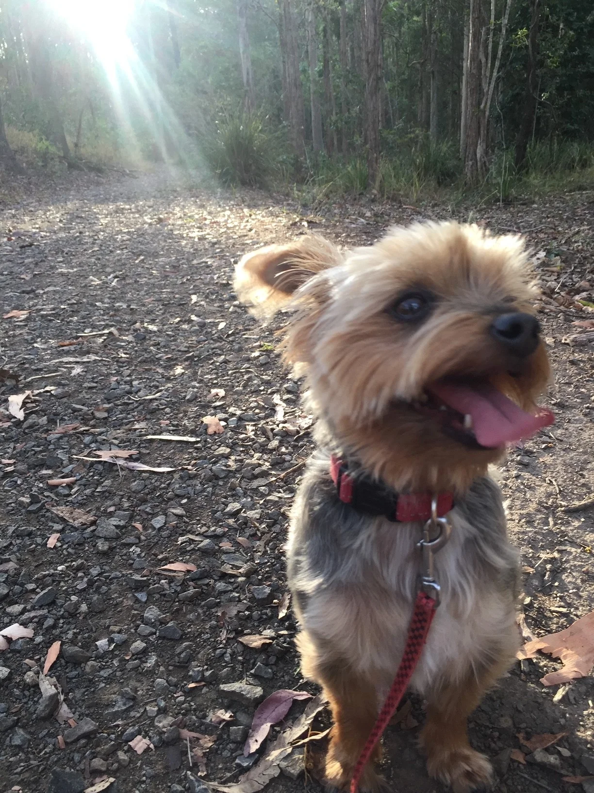 olly1111.jpg