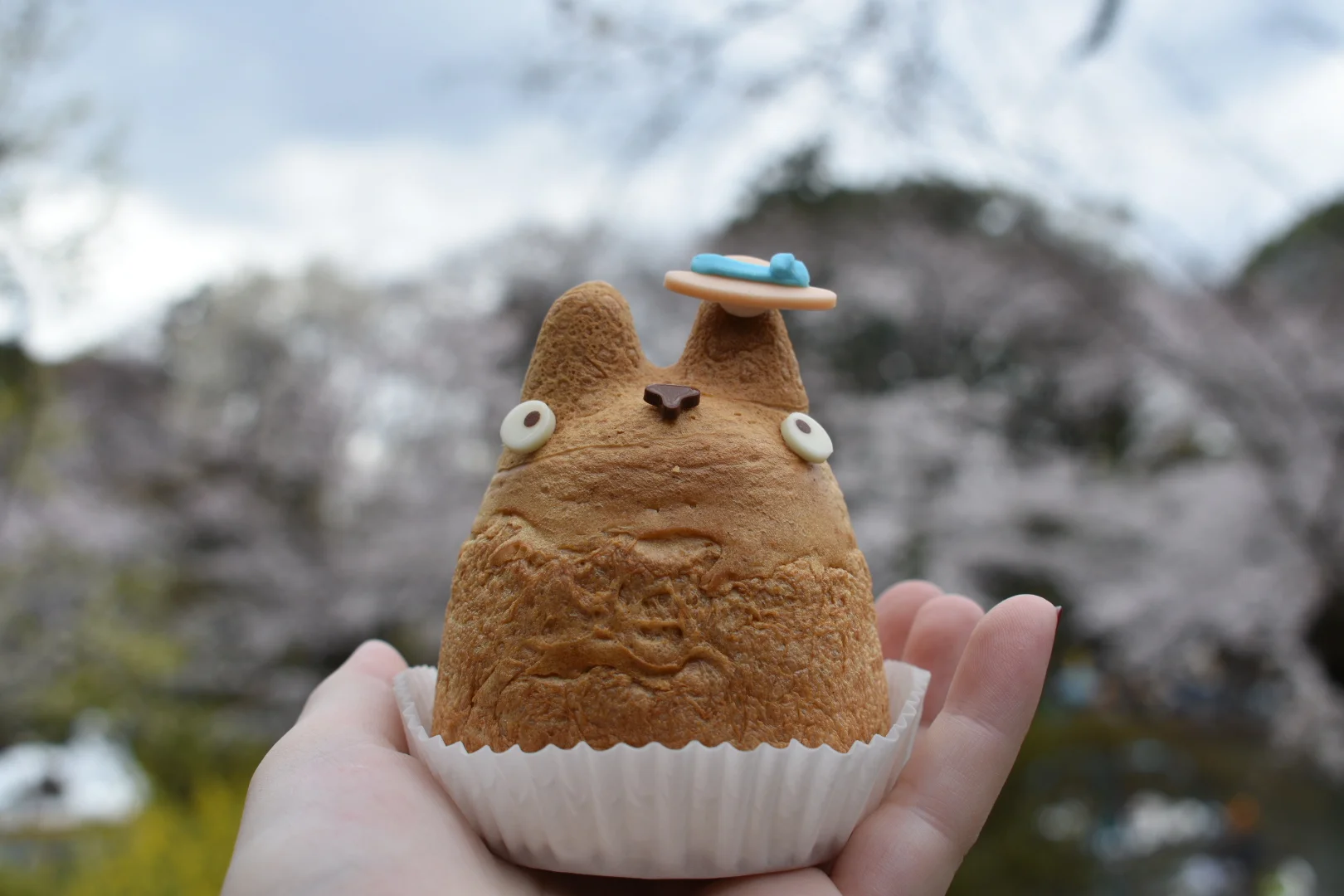 Totoro Cream Puffs