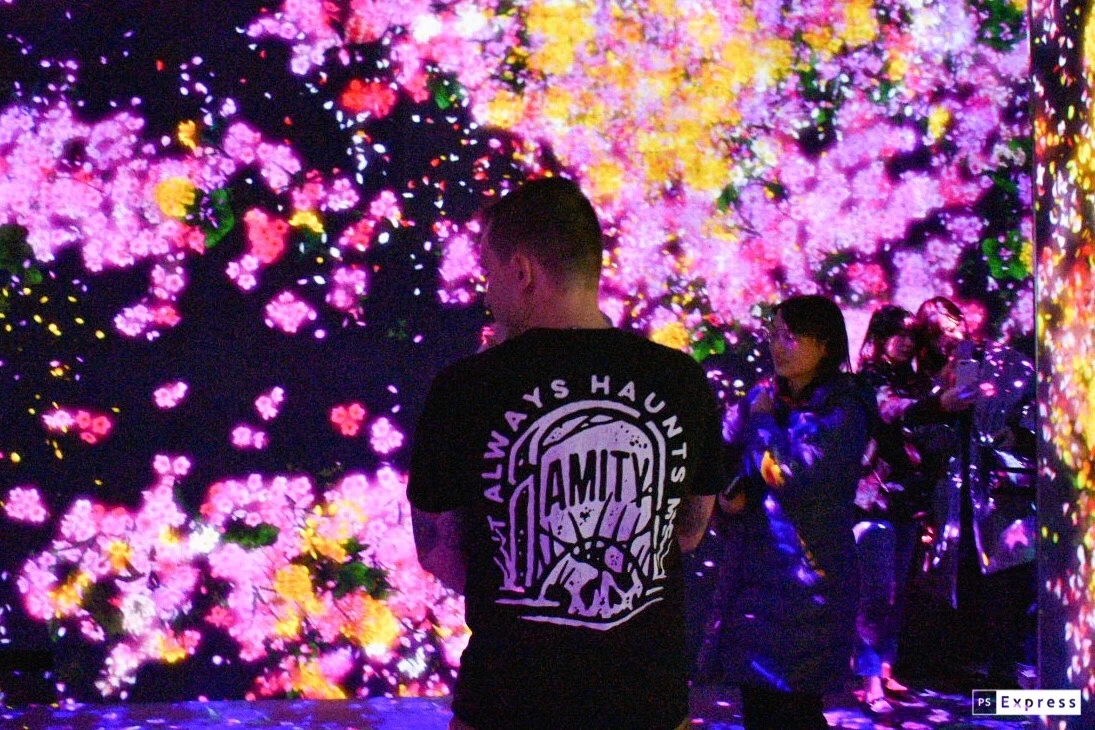 TeamLab Borderless Tokyo