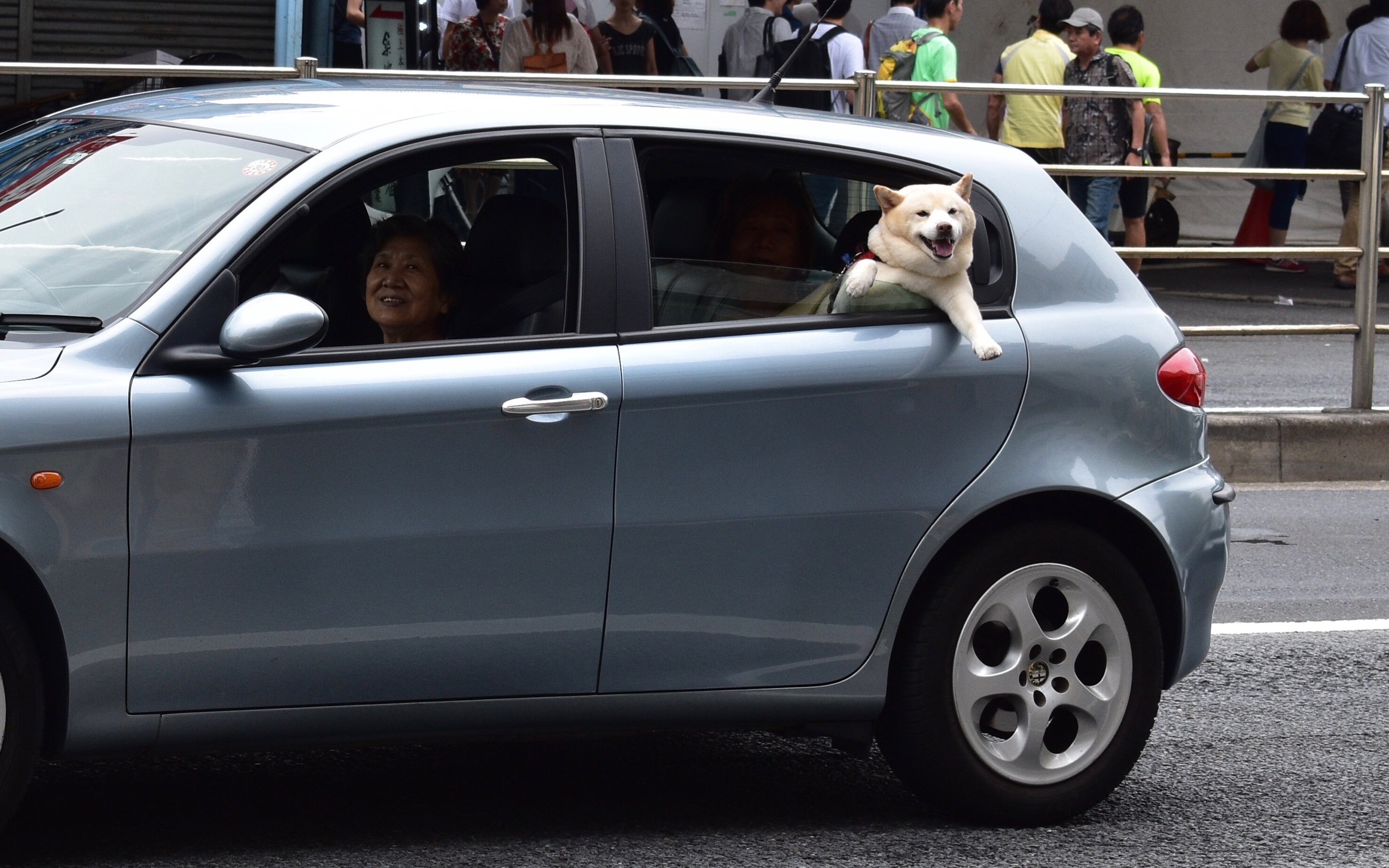 Bonus waving fat Shiba of good fortune and great food. Spotted outside of Tsukiji. We have been blessed.