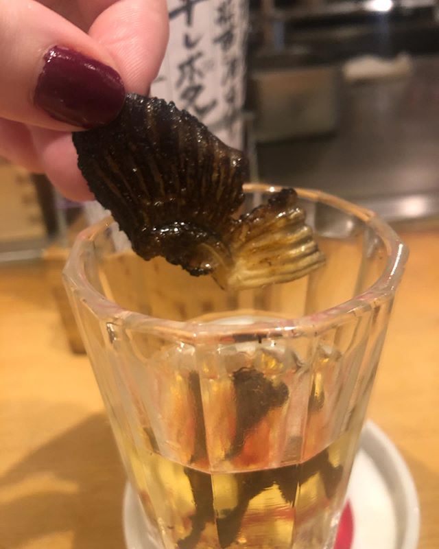 🐡Care for a glass of Blowfish? #fugu 
We tried Hirezake for the first at our favourite Izakaya 🙀 @junsui_bakawarai .
.
Follow Okonominoms for tips on travelling to Japan, the language and customs ✨
 #traveljapan #traveltips #tokyodaily #tokyo #toky