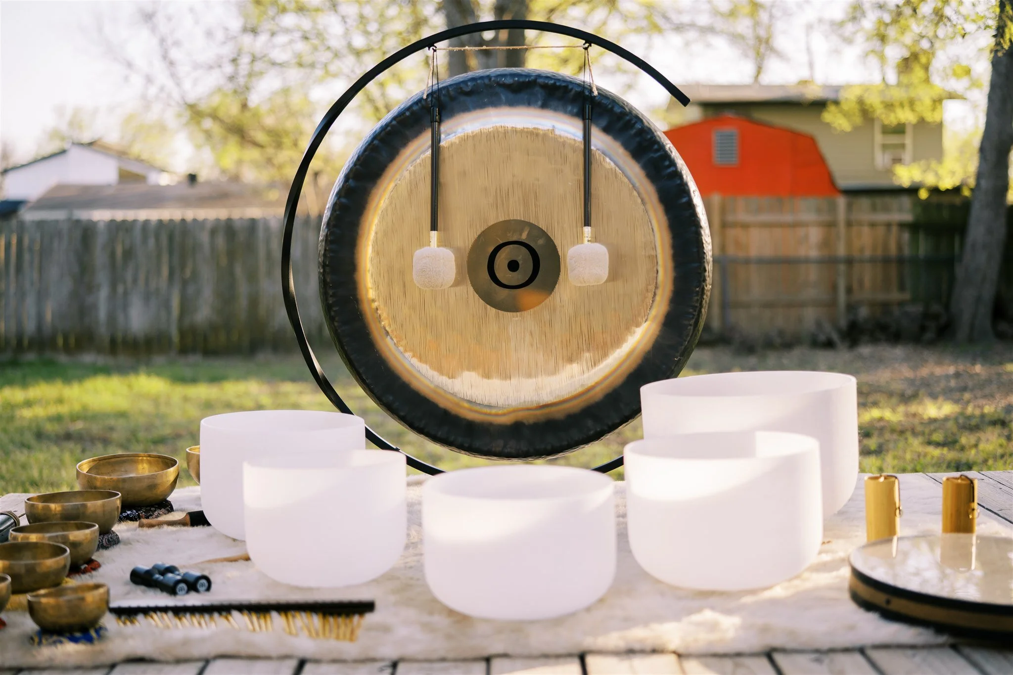 Sonic Sound Healing with Danielle Goldfarb