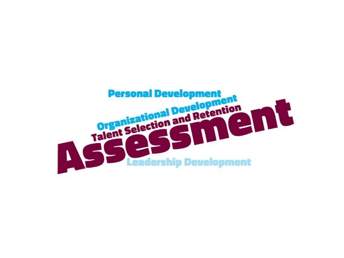 Assessment 1 copy.jpg