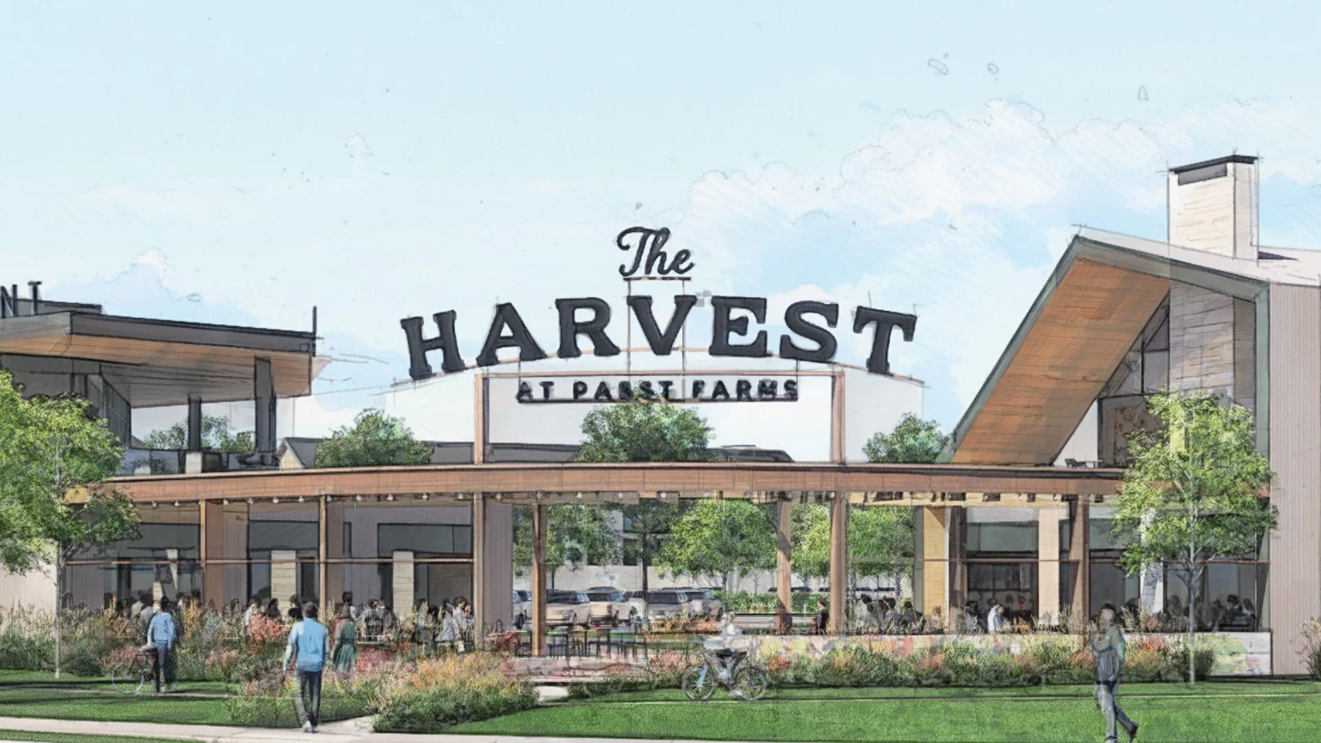 Harvest-RINKA Website-09.jpg