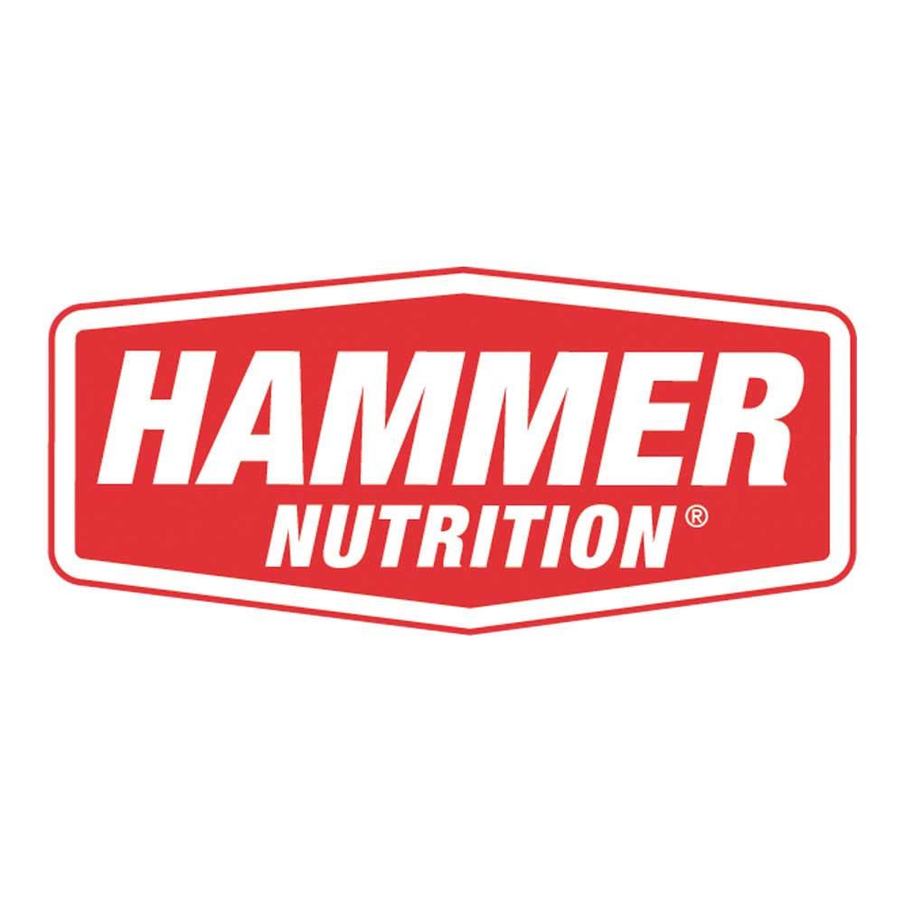 hammerlogo.jpg