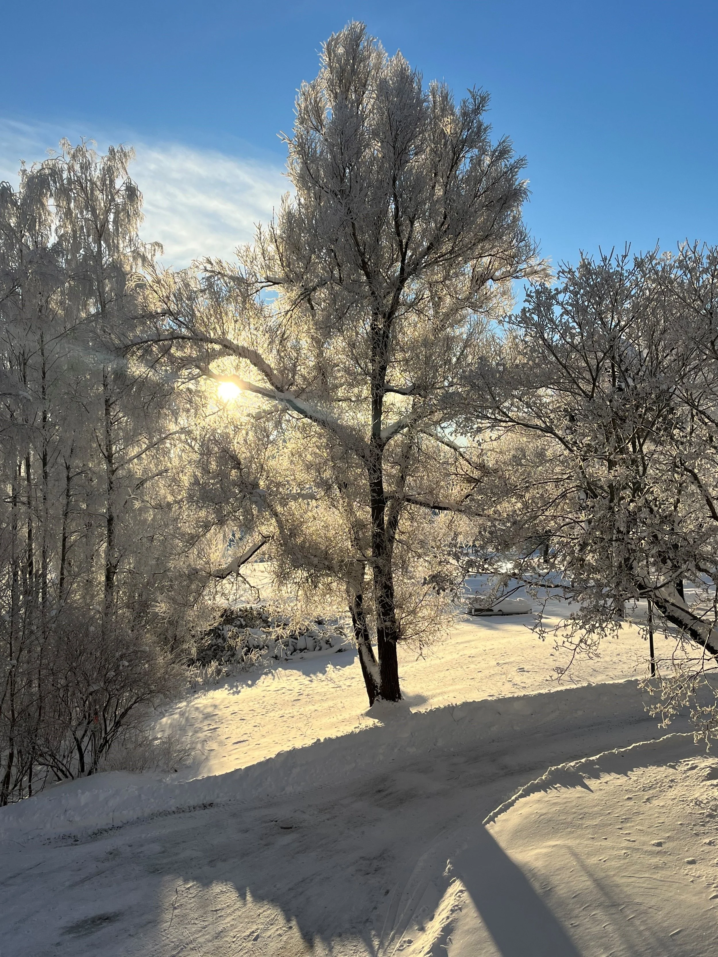 Utdeling av midler fra tilskuddsordningen &nbsp;&nbsp;