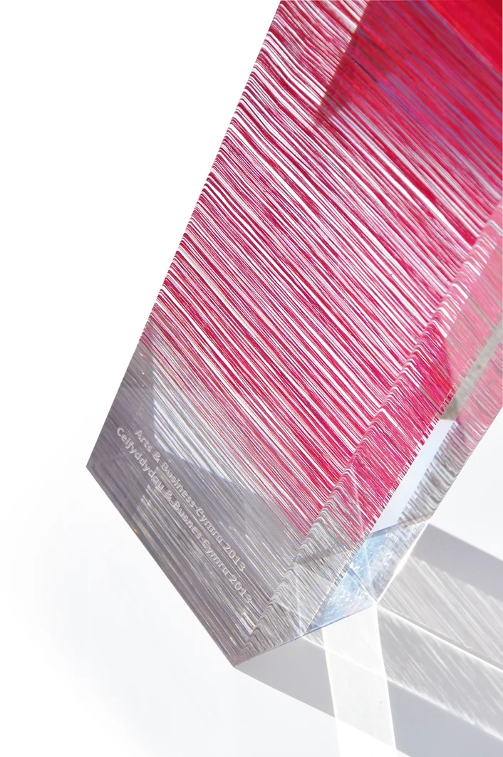 Arts & Business Award 2013. Cotton, silk, Lurex and light reflective thread encapsulated in acrylic resin.