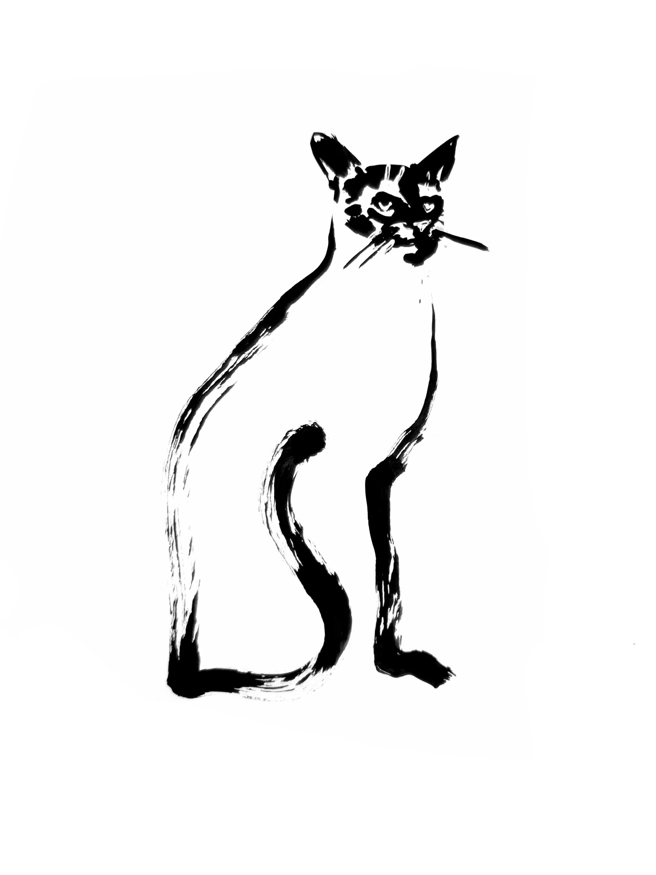 Cat 1 (Copy) (copie)