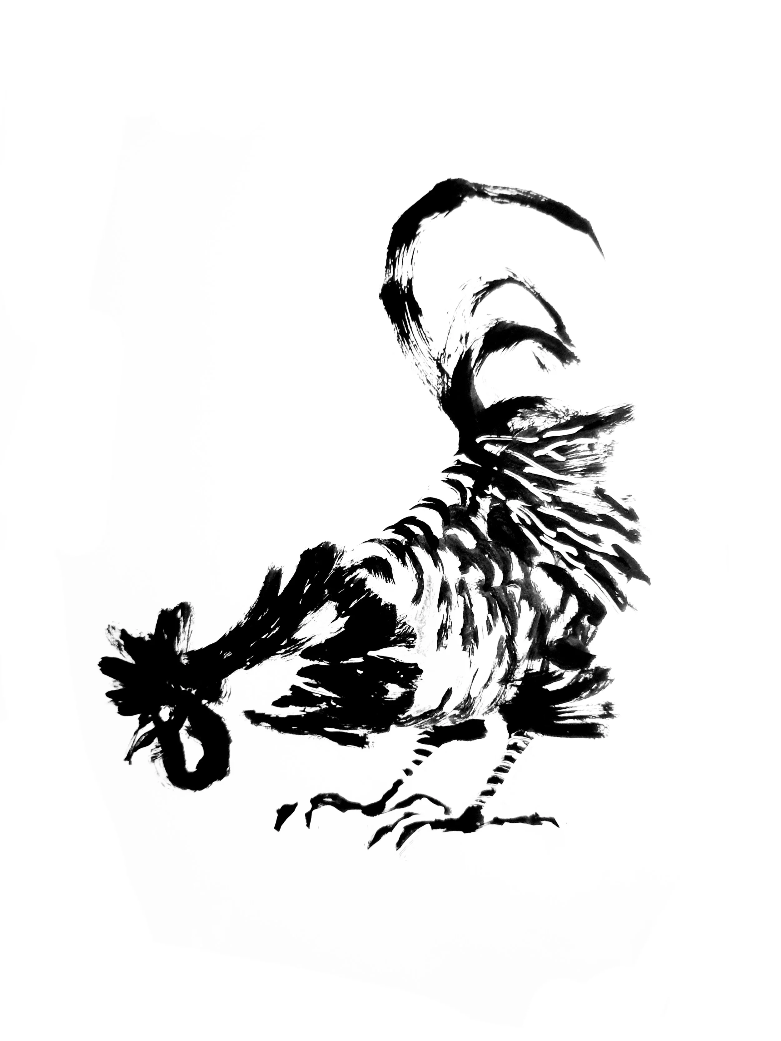 Coq 1 (Copy) (copie)