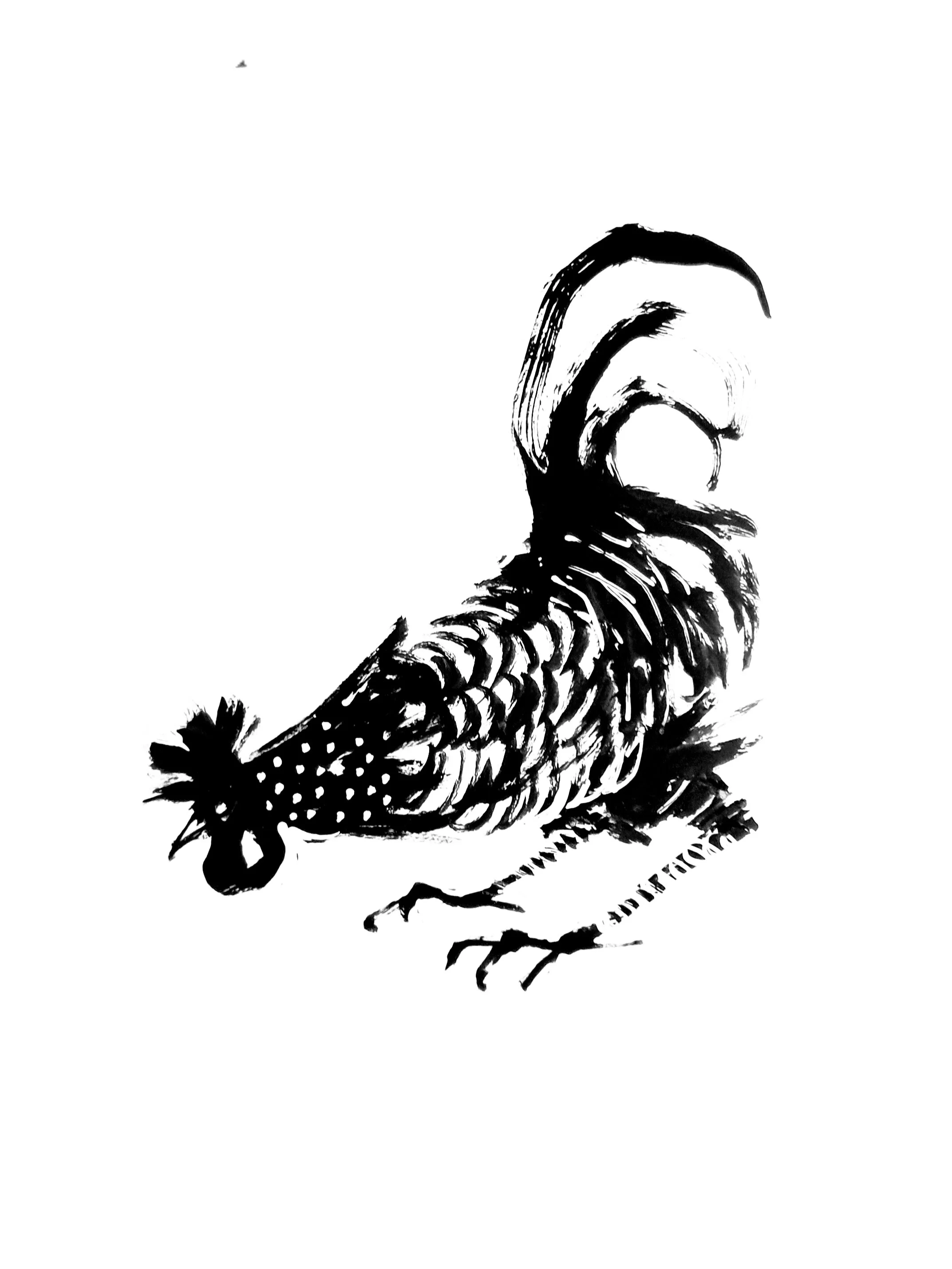 Coq 2 (Copy) (copie)