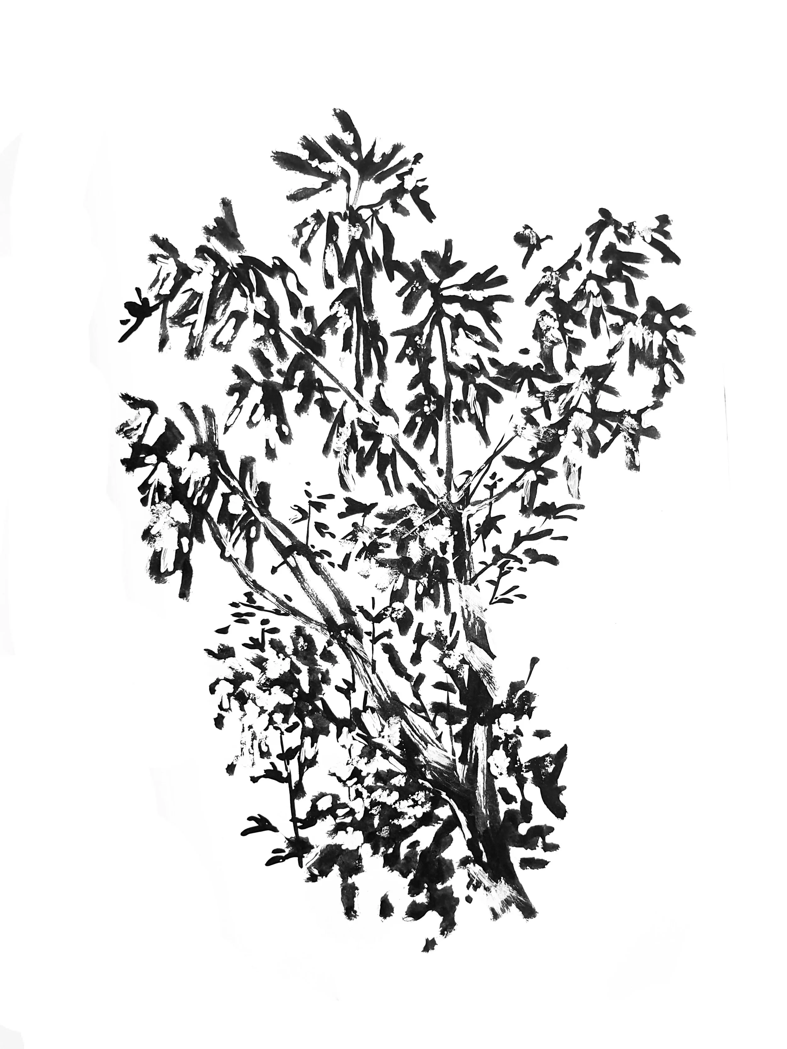 Tree VII (Copy) (copie)