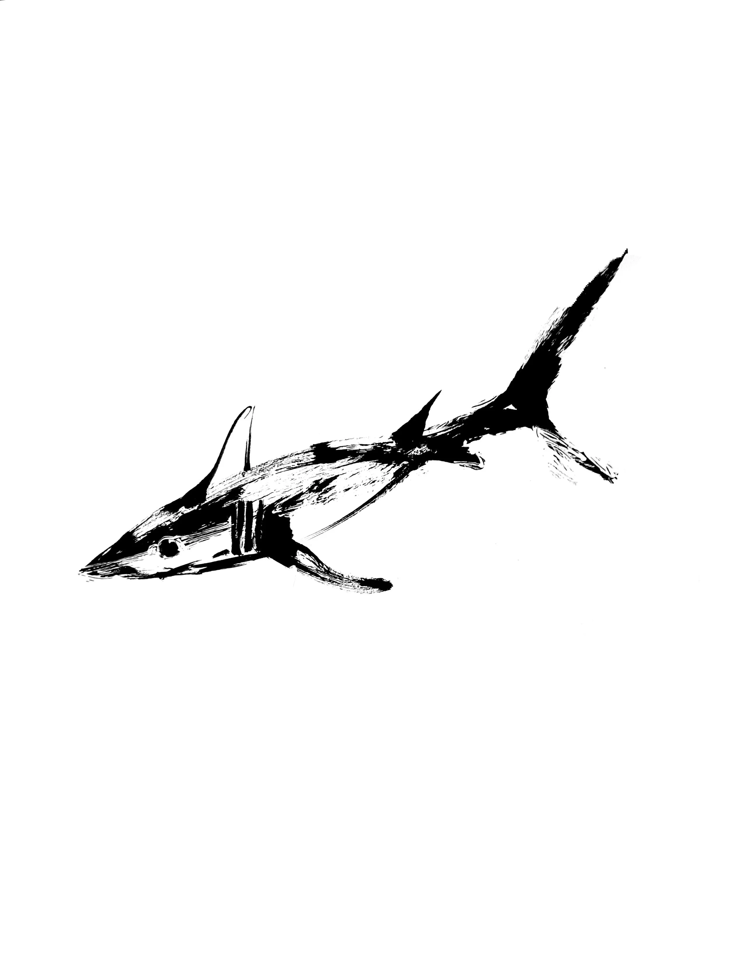 Shark 3 (Copy) (copie)